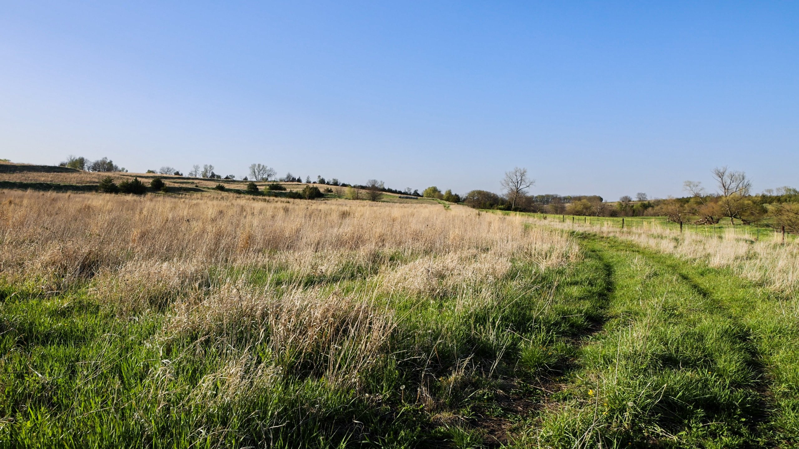 Adams County, Iowa Farmland For Sale