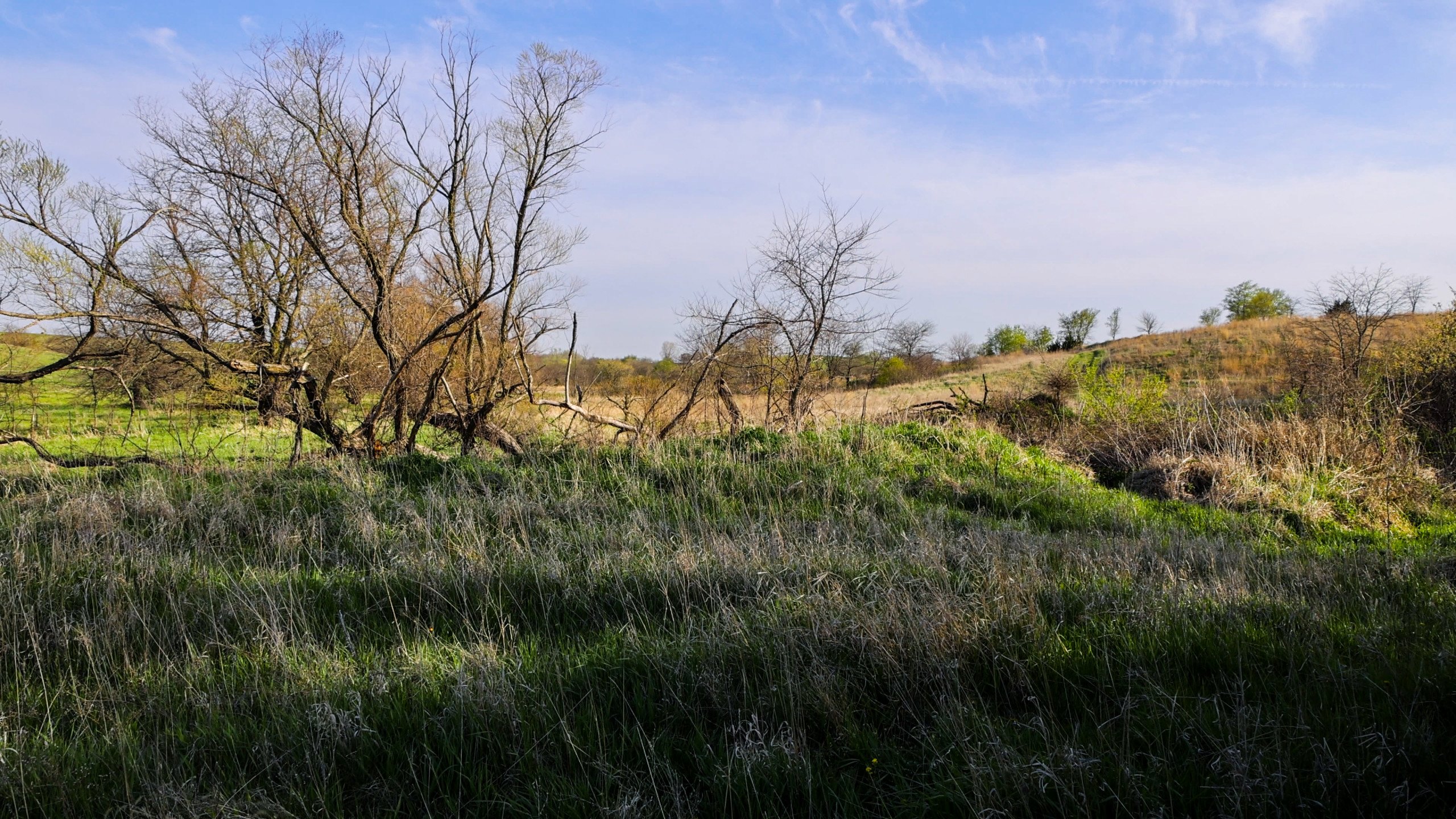 Adams County, Iowa Farmland For Sale