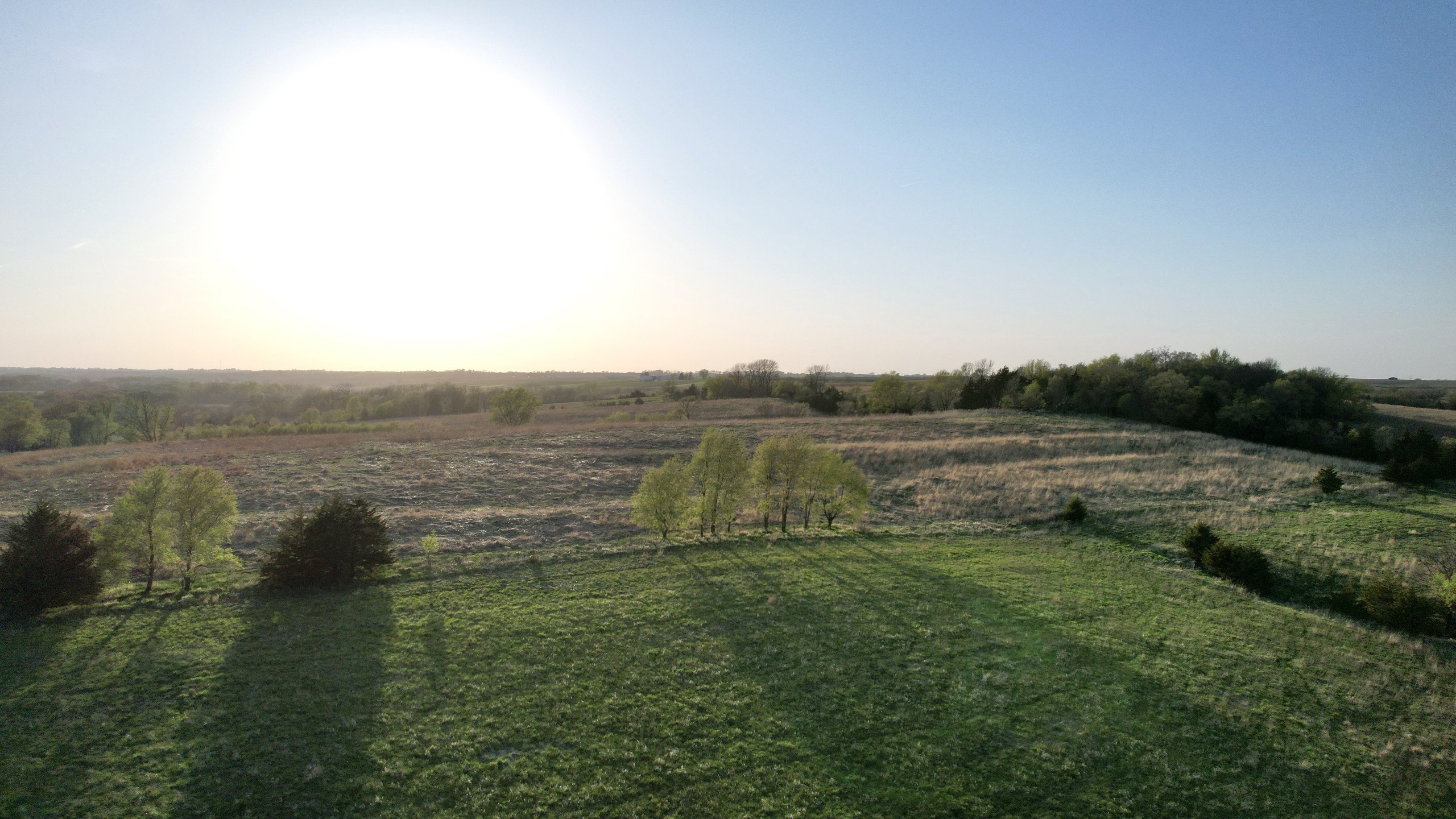 Adams County, Iowa Farmland For Sale