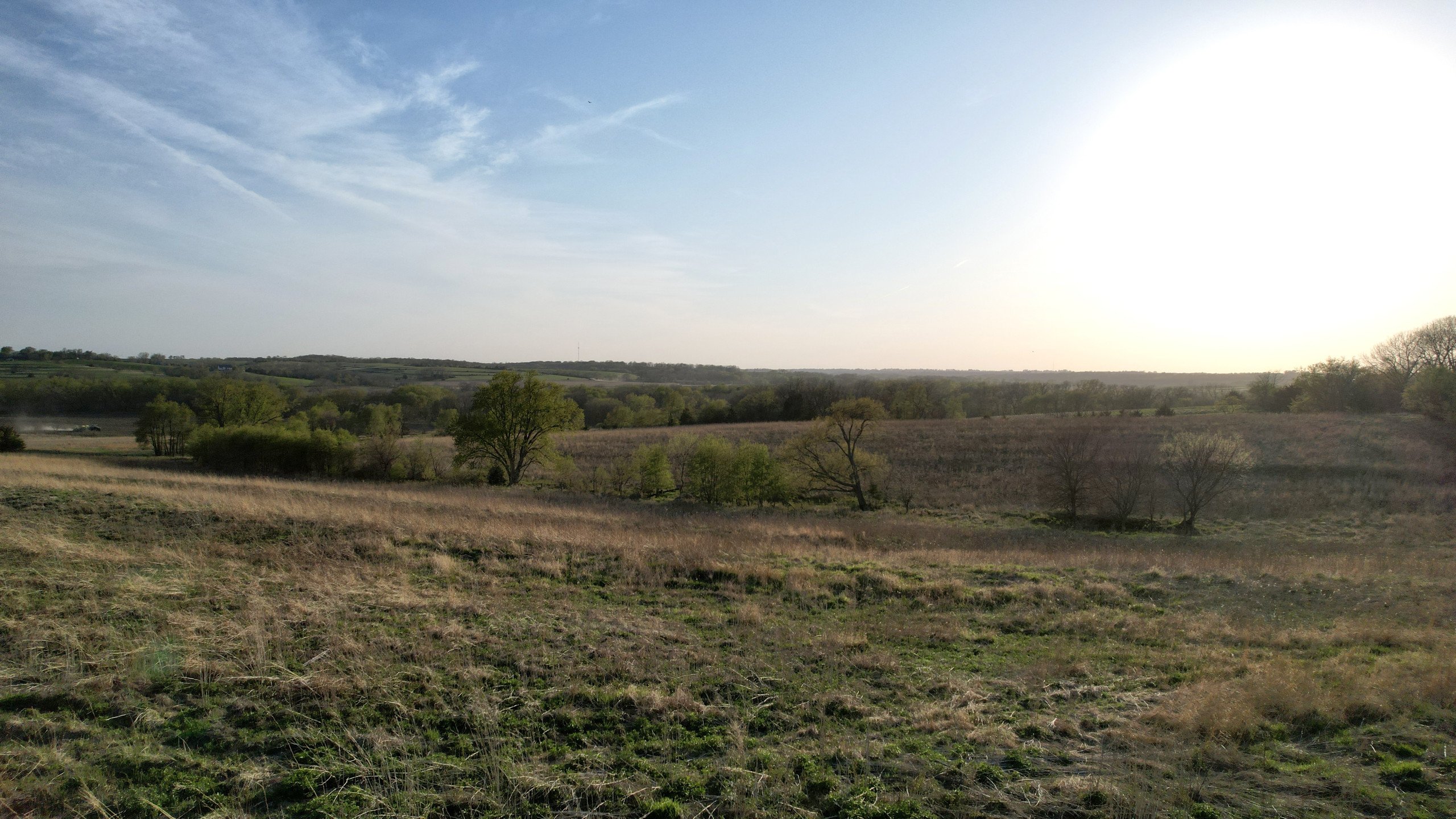 Adams County, Iowa Farmland For Sale