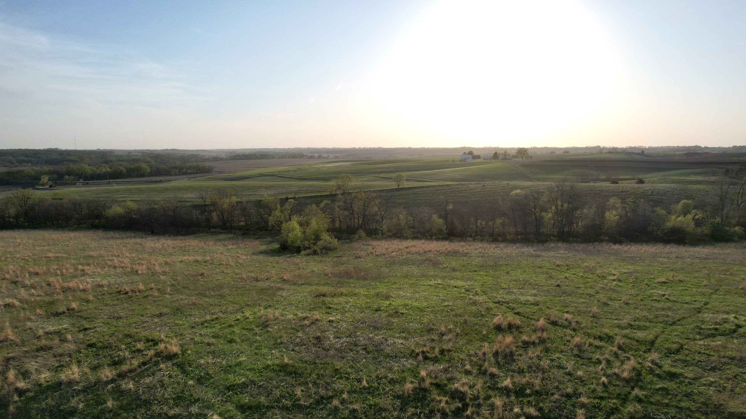 Adams County, Iowa Farmland For Sale