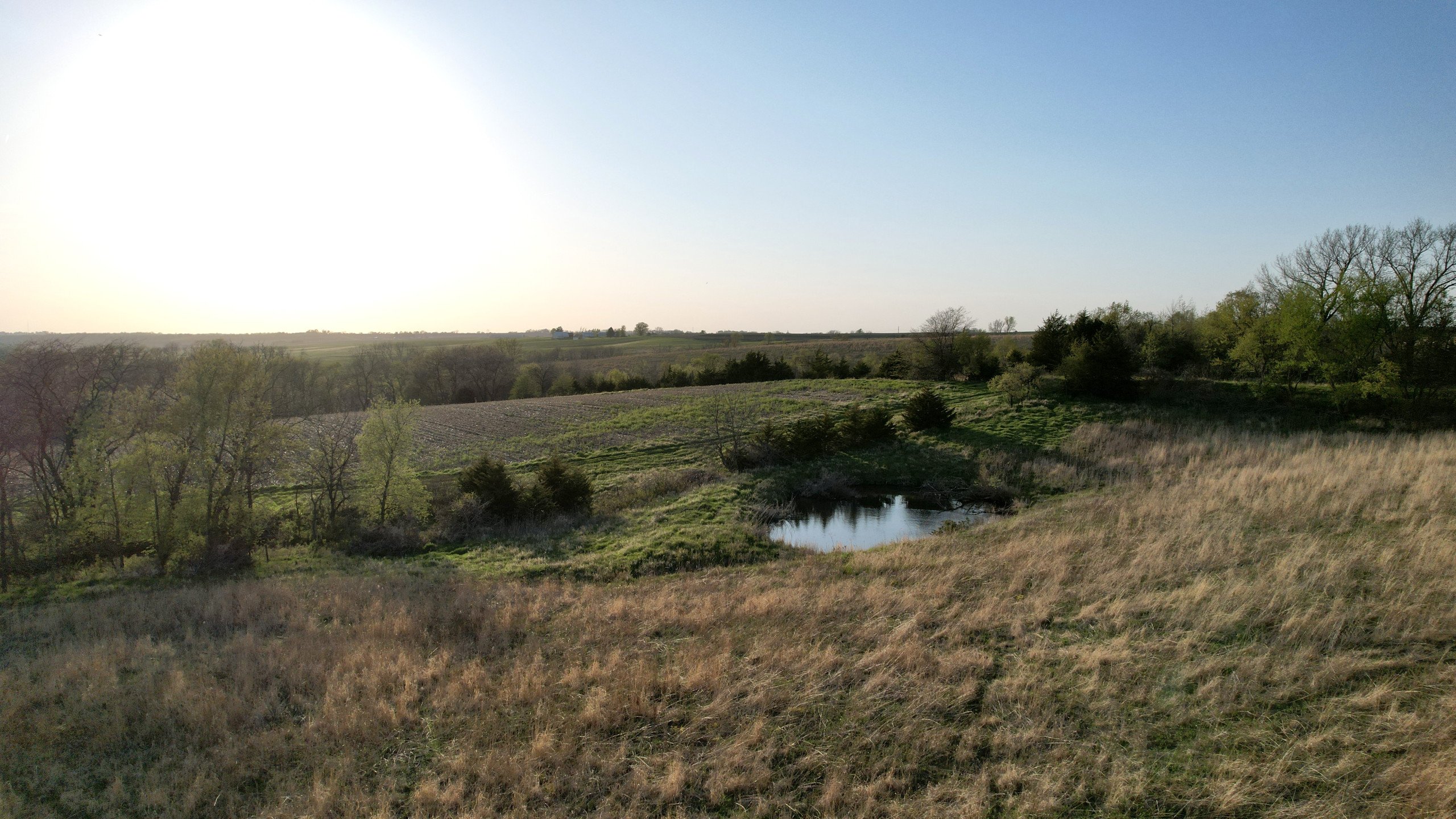 Adams County, Iowa Farmland For Sale