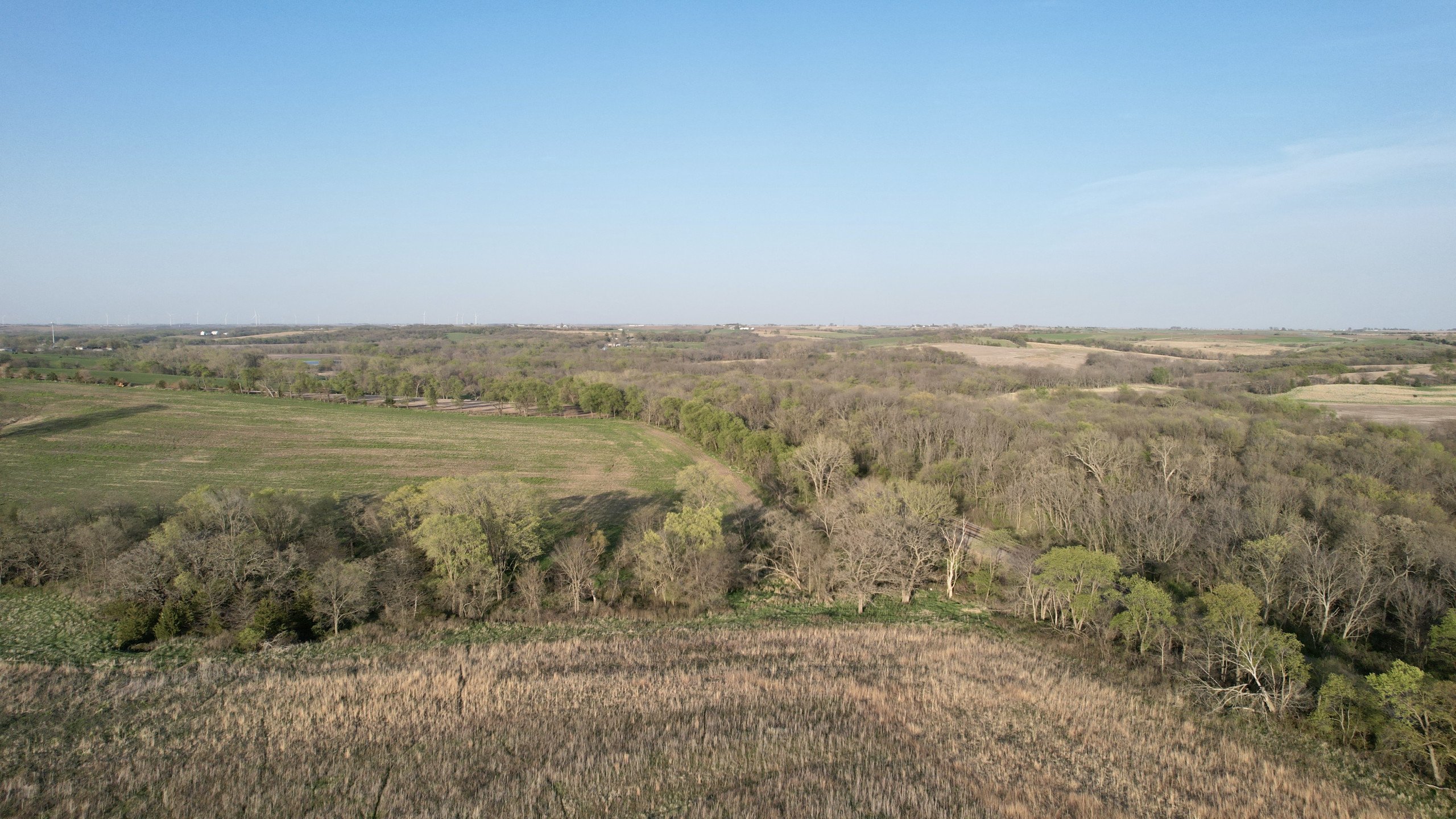 Adams County, Iowa Farmland For Sale