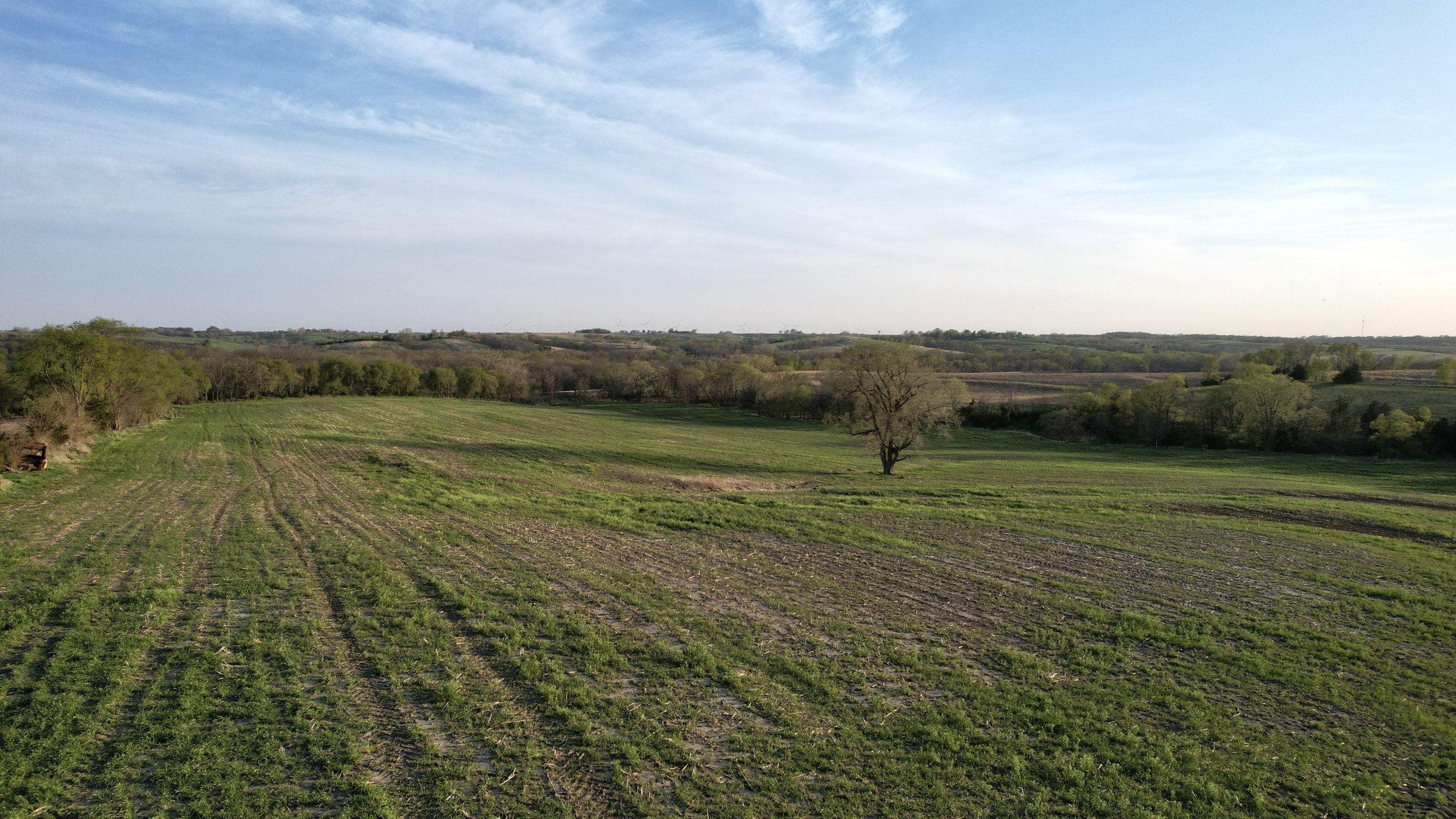 Adams County, Iowa Farmland For Sale