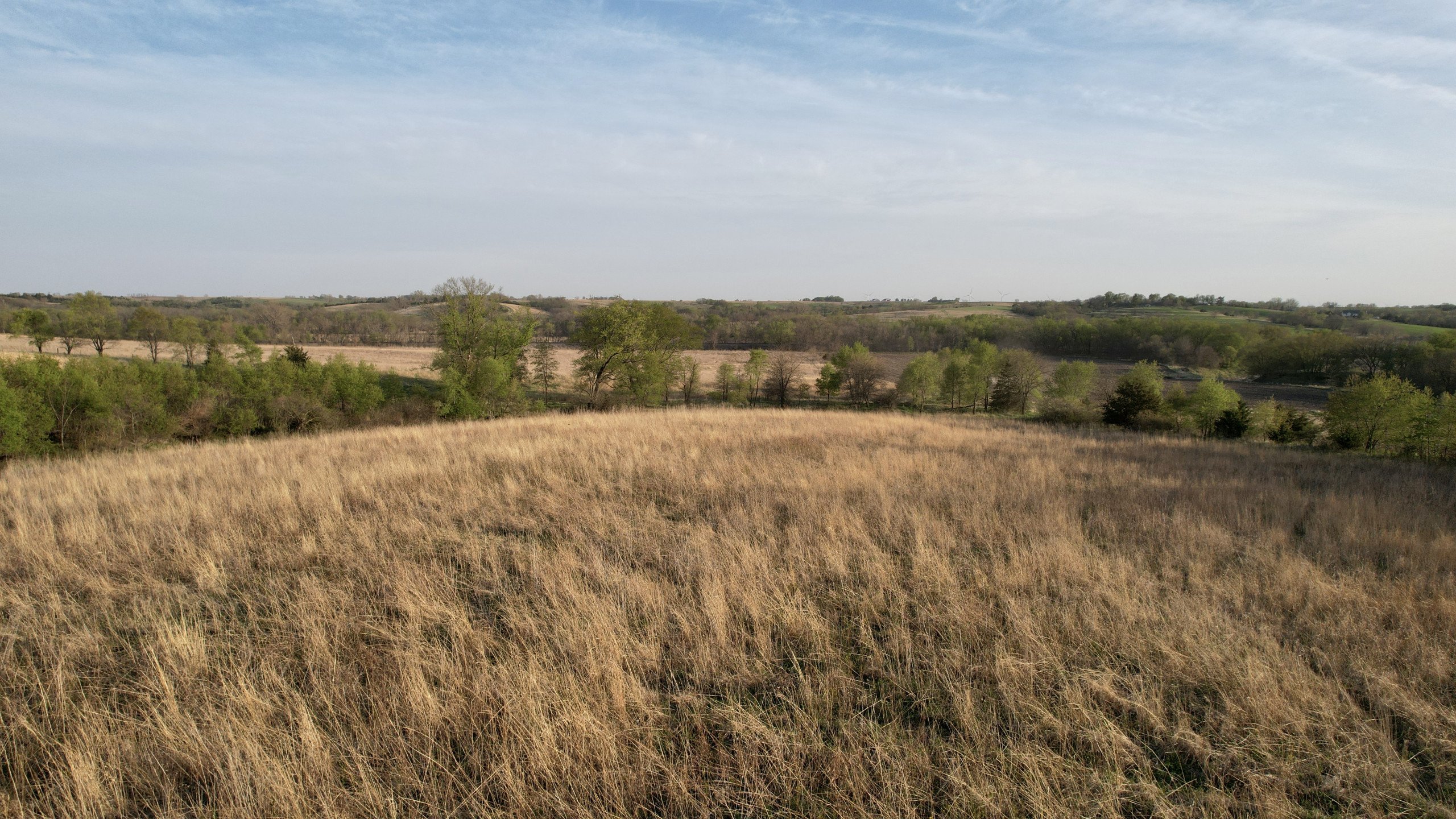 Adams County, Iowa Farmland For Sale