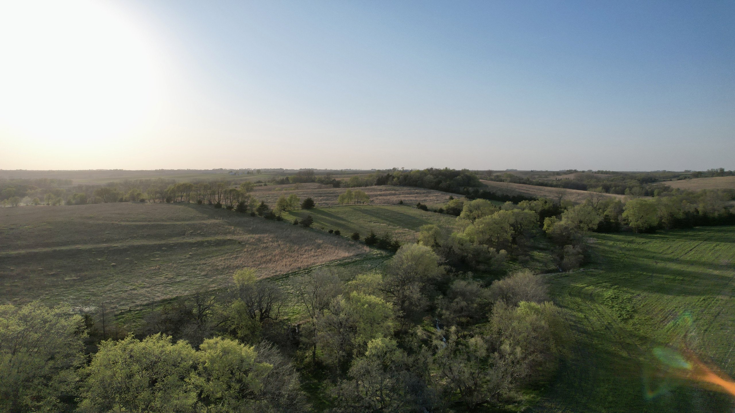 Adams County, Iowa Farmland For Sale