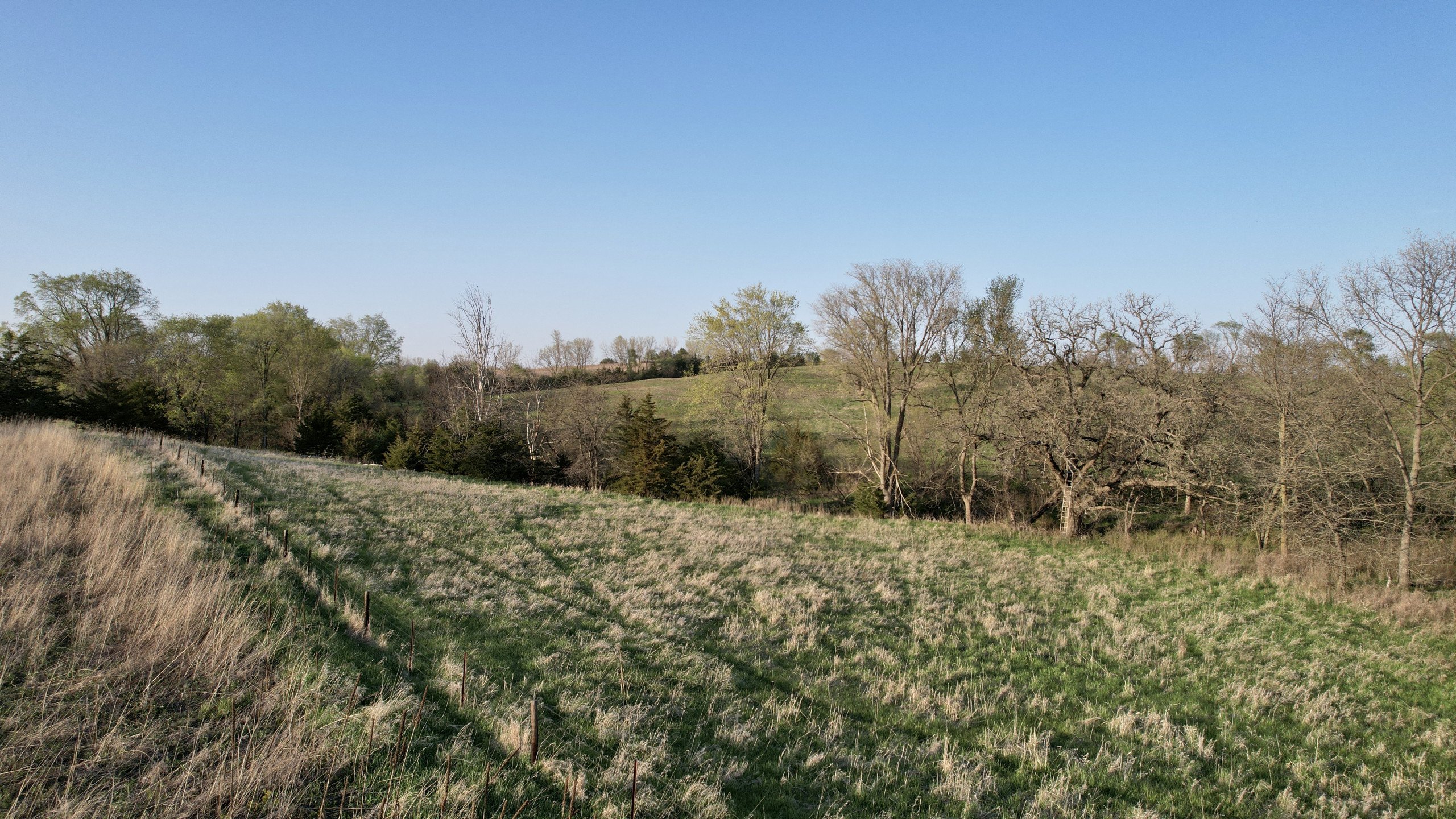 Adams County, Iowa Farmland For Sale