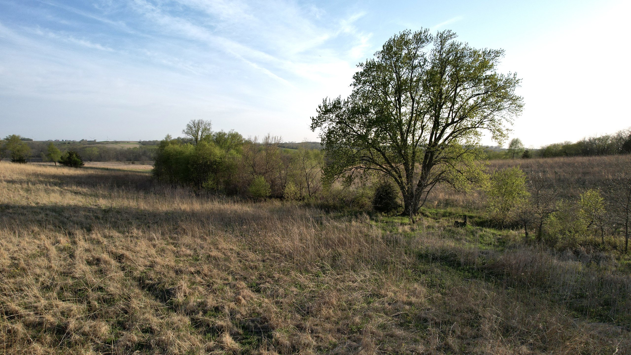 Adams County, Iowa Farmland For Sale