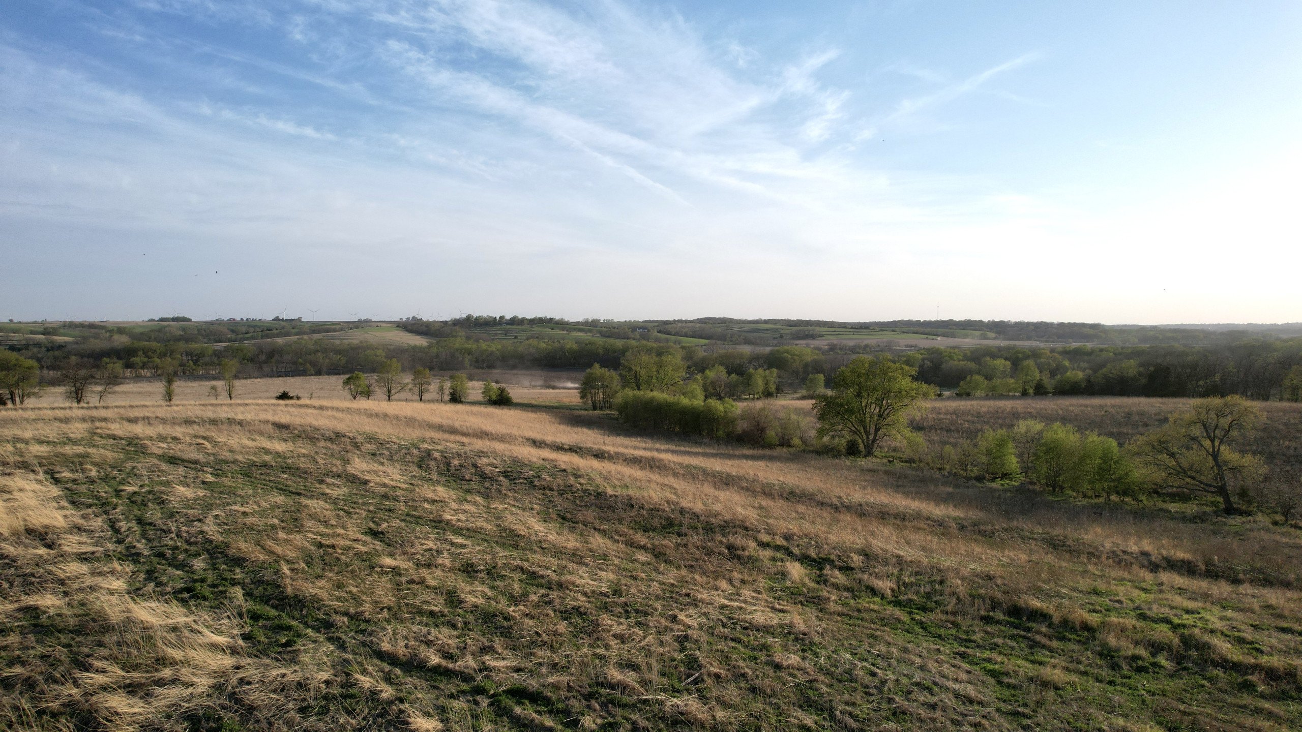 Adams County, Iowa Farmland For Sale