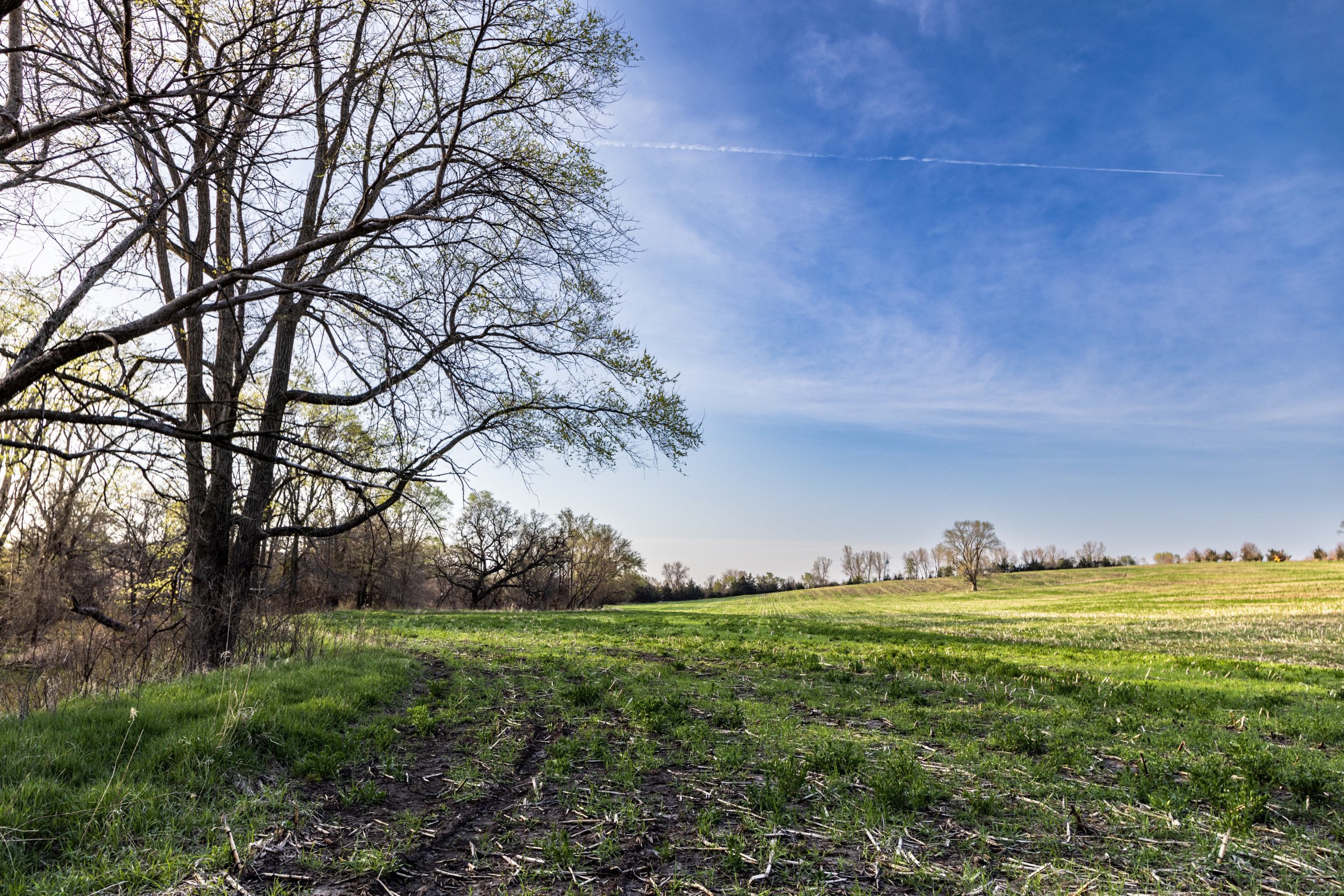 Adams County, Iowa Farmland For Sale