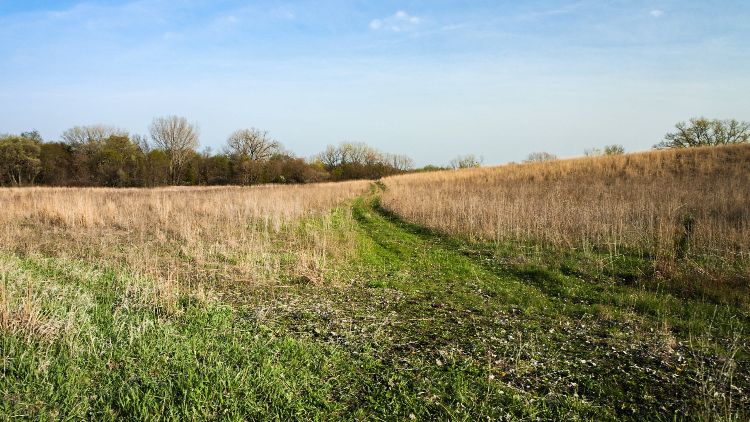 Adams County, Iowa Farmland For Sale