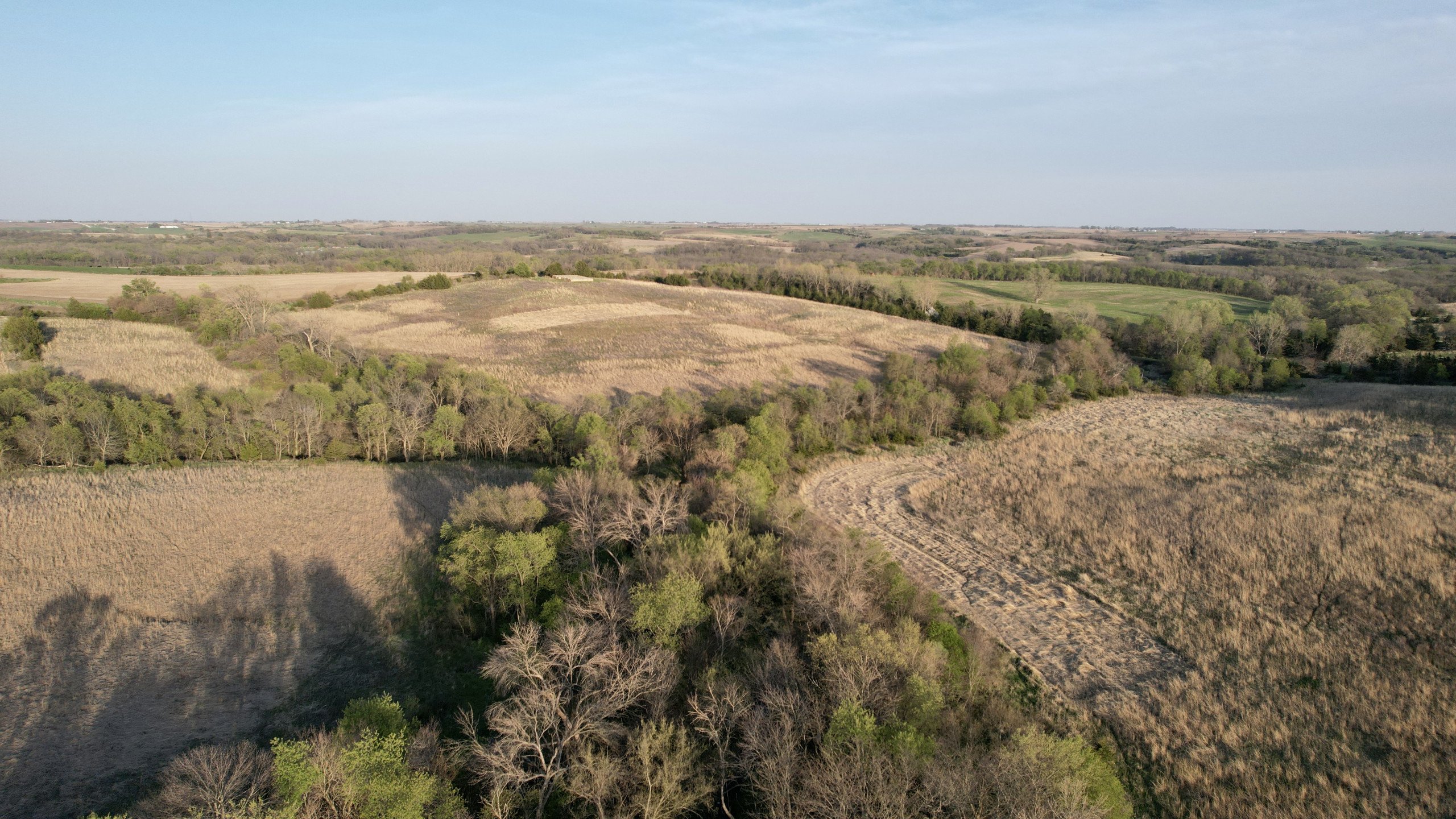 Adams County, Iowa Farmland For Sale