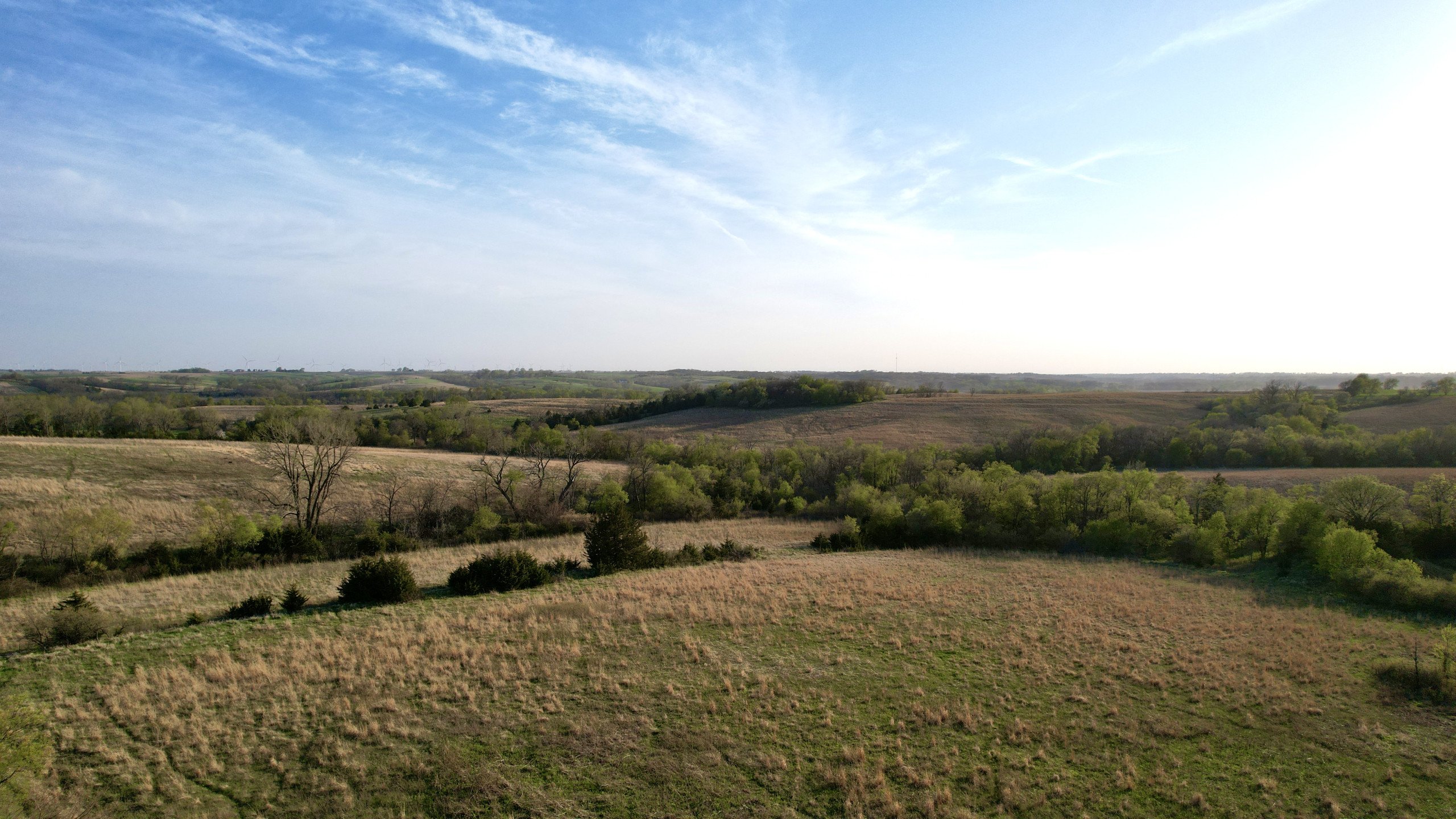 Adams County, Iowa Farmland For Sale