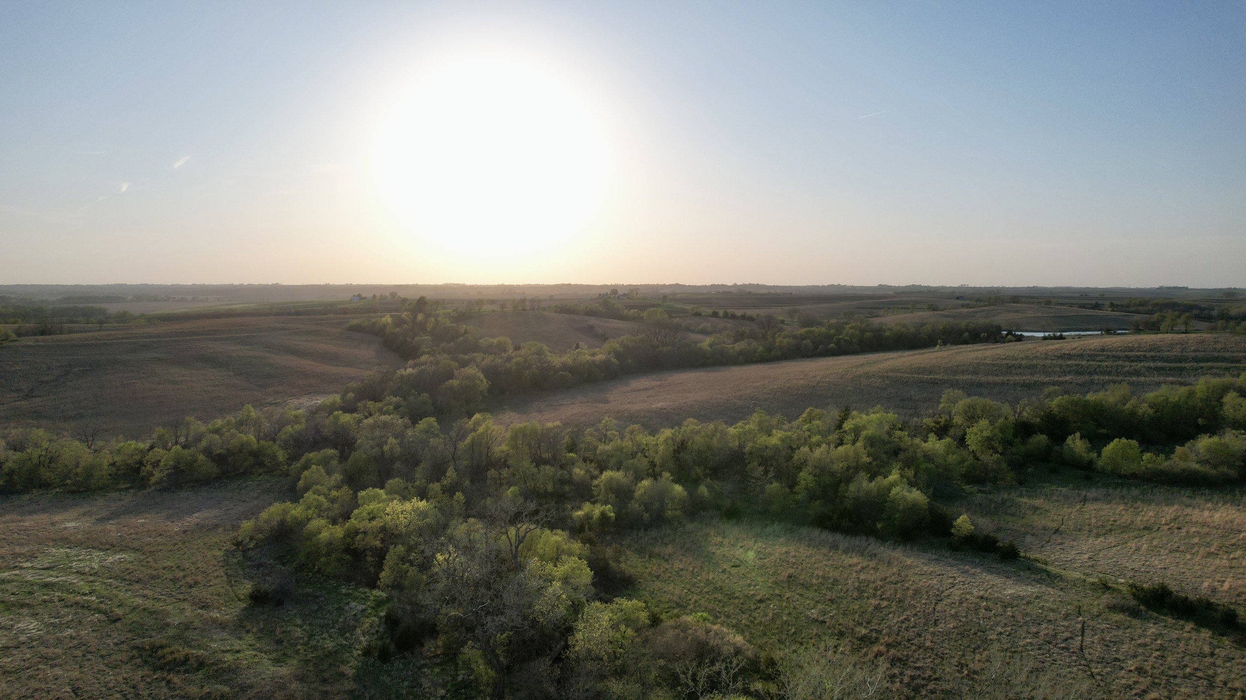 Adams County, Iowa Farmland For Sale