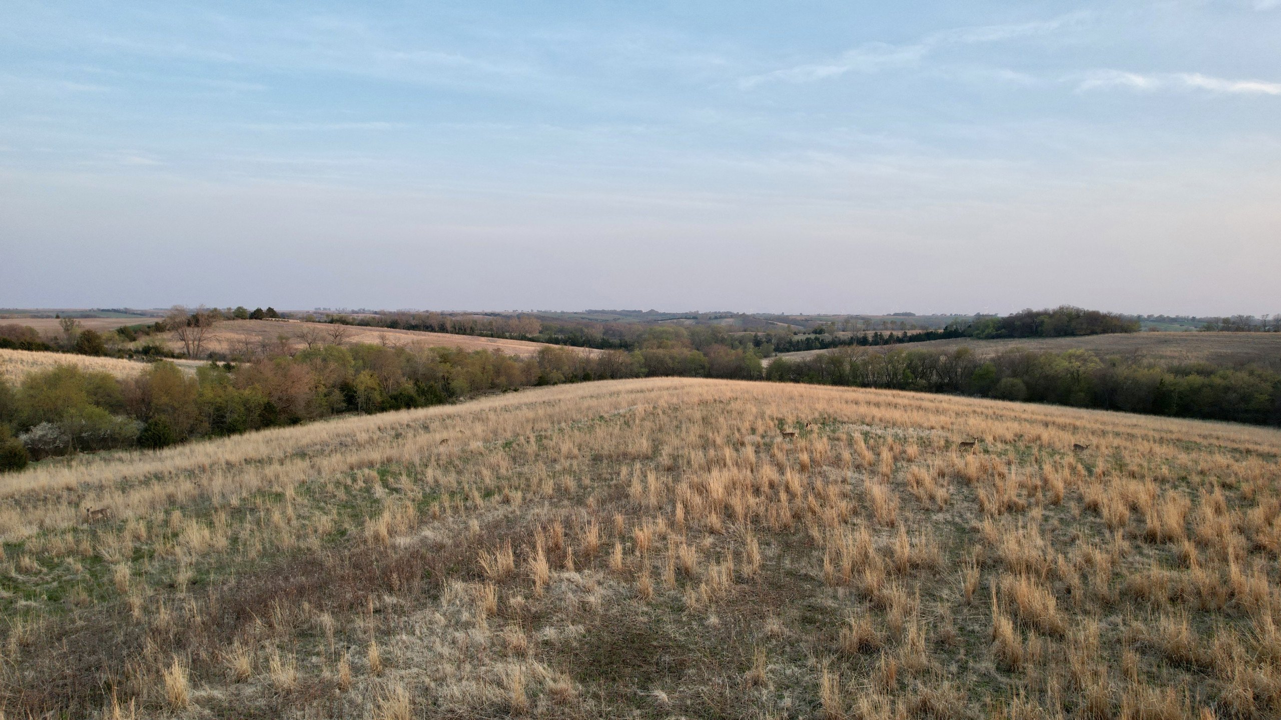 Adams County, Iowa Farmland For Sale