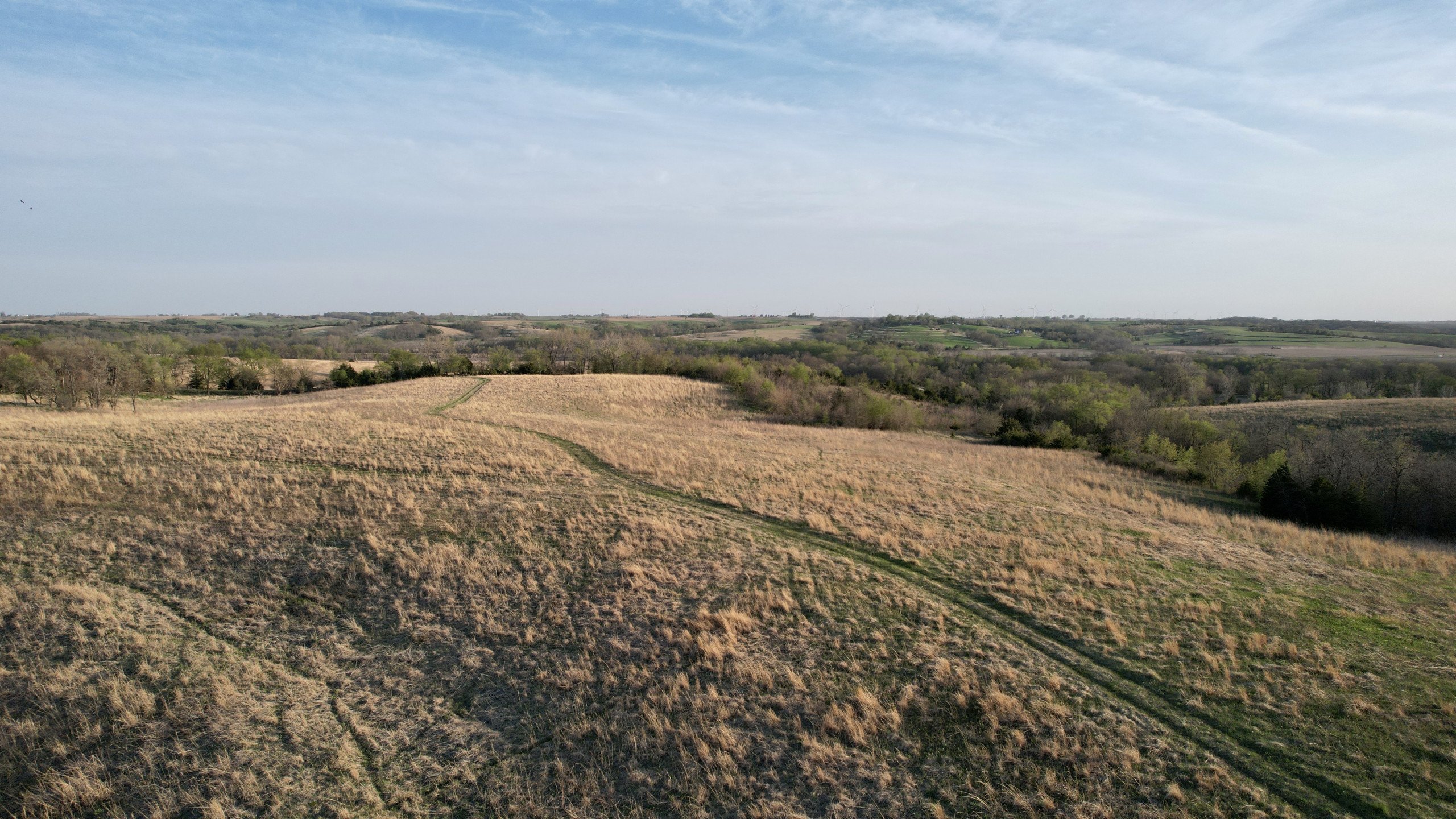 Adams County, Iowa Farmland For Sale