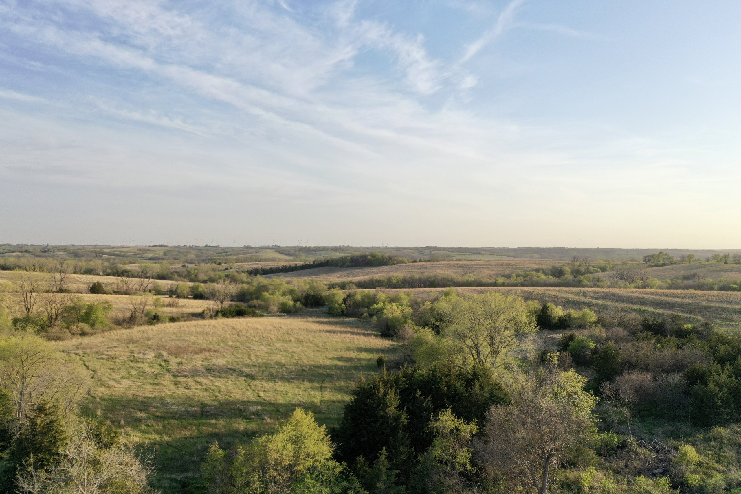 Adams County, Iowa Farmland For Sale