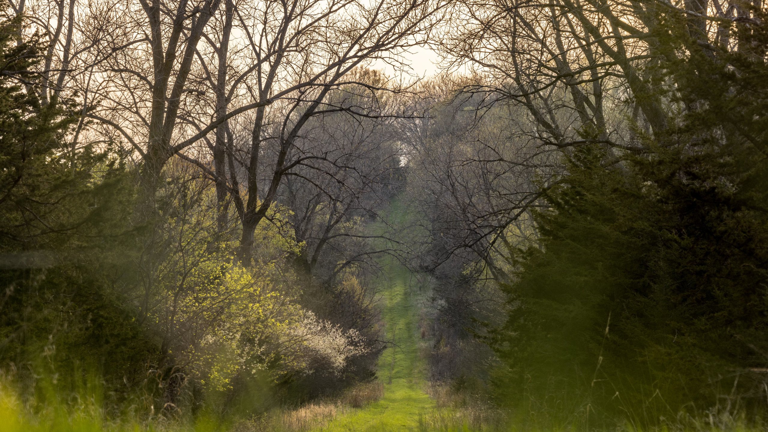 Adams County, Iowa Farmland For Sale