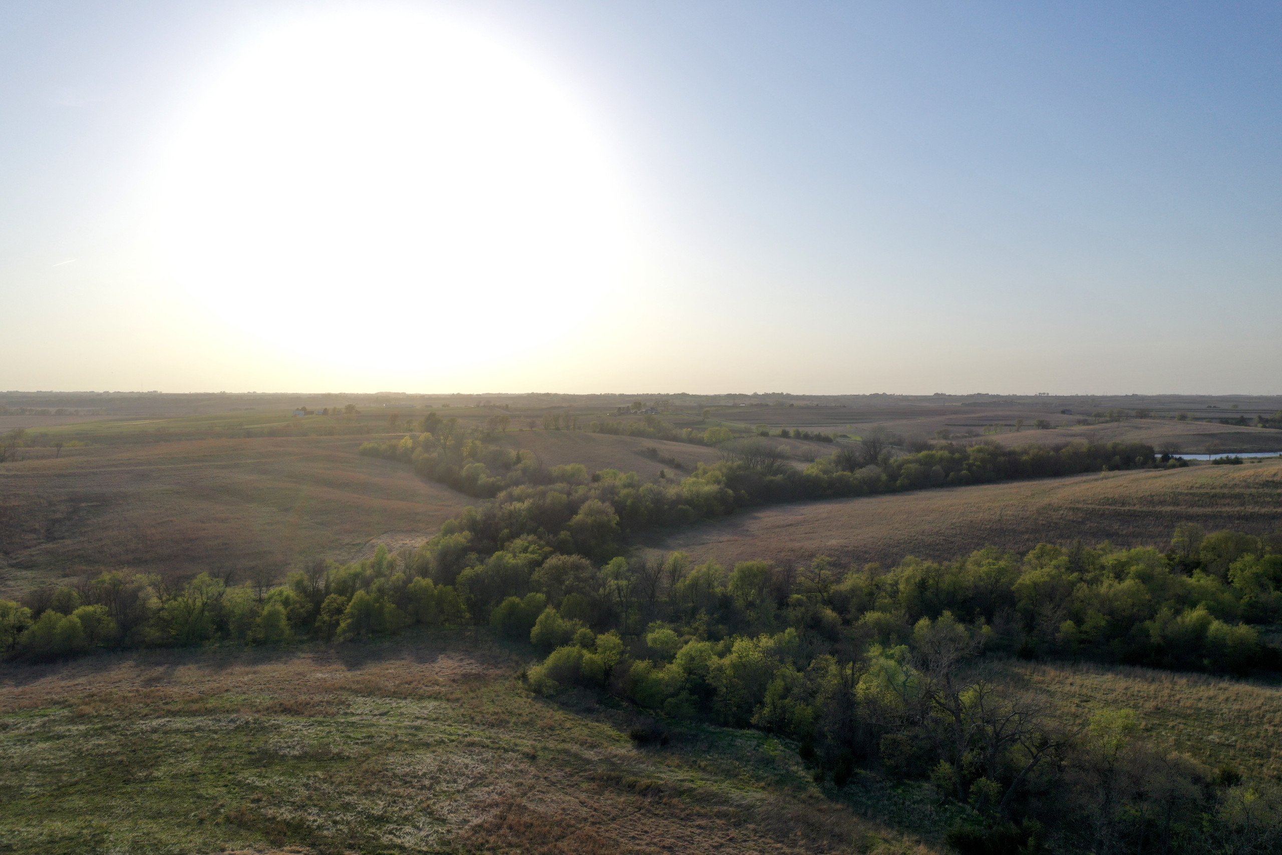 Adams County, Iowa Farmland For Sale