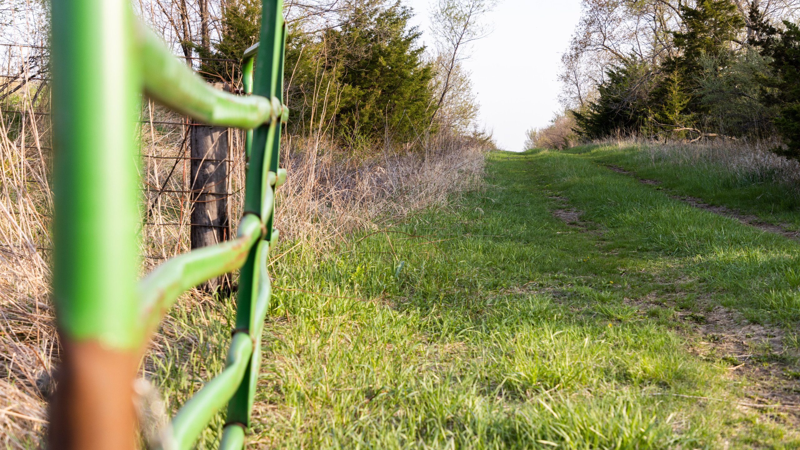 Adams County, Iowa Farmland For Sale