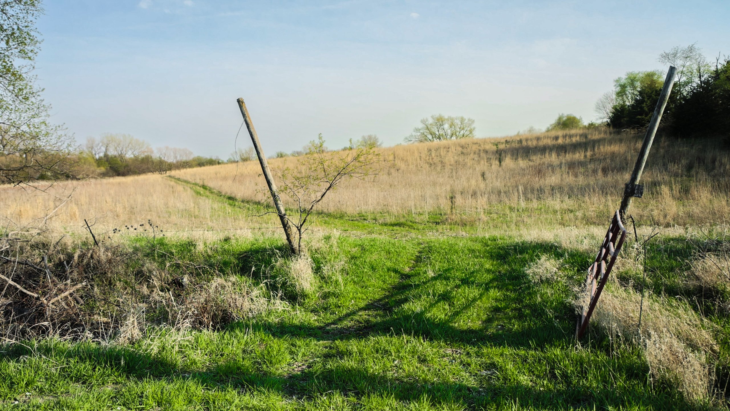 Adams County, Iowa Farmland For Sale