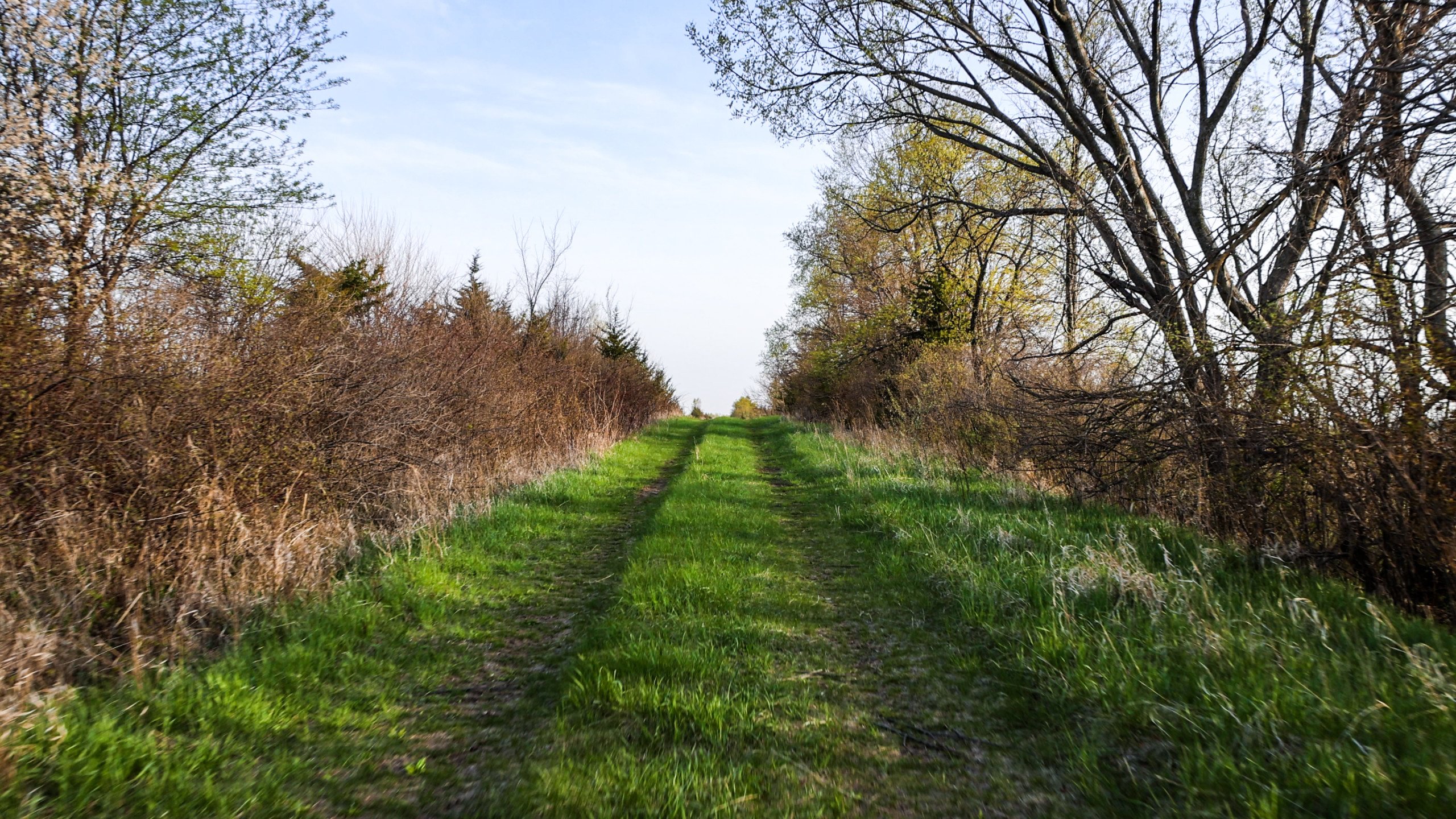 Adams County, Iowa Farmland For Sale