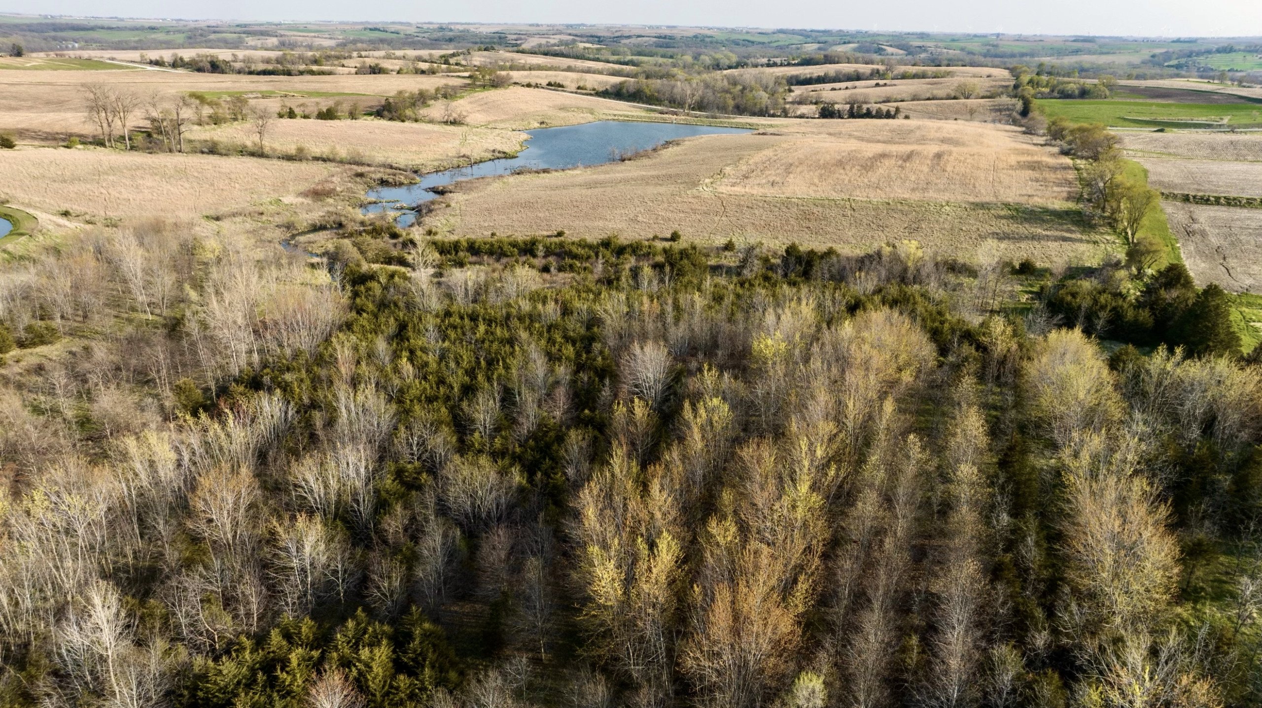 Adams County, Iowa Farmland For Sale