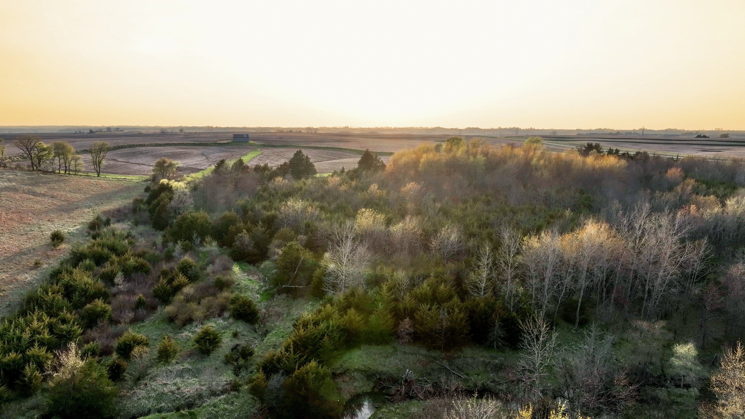 Adams County, Iowa Farmland For Sale