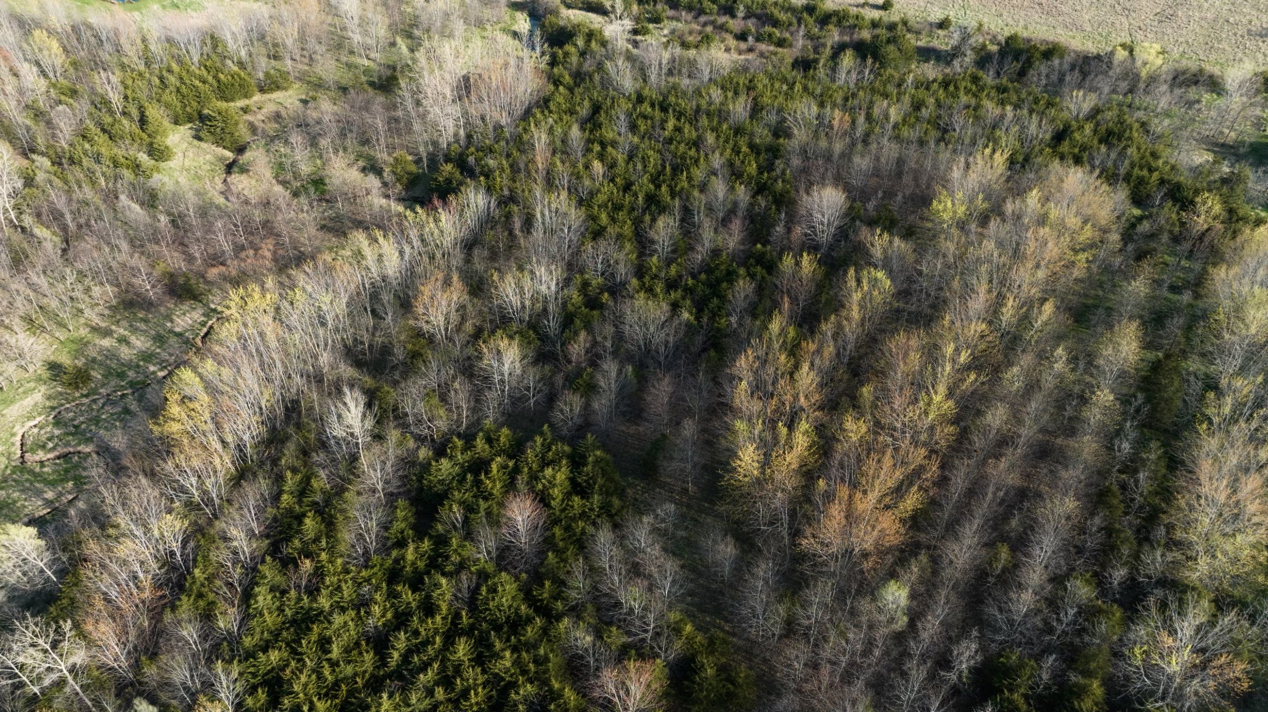 Adams County, Iowa Farmland For Sale