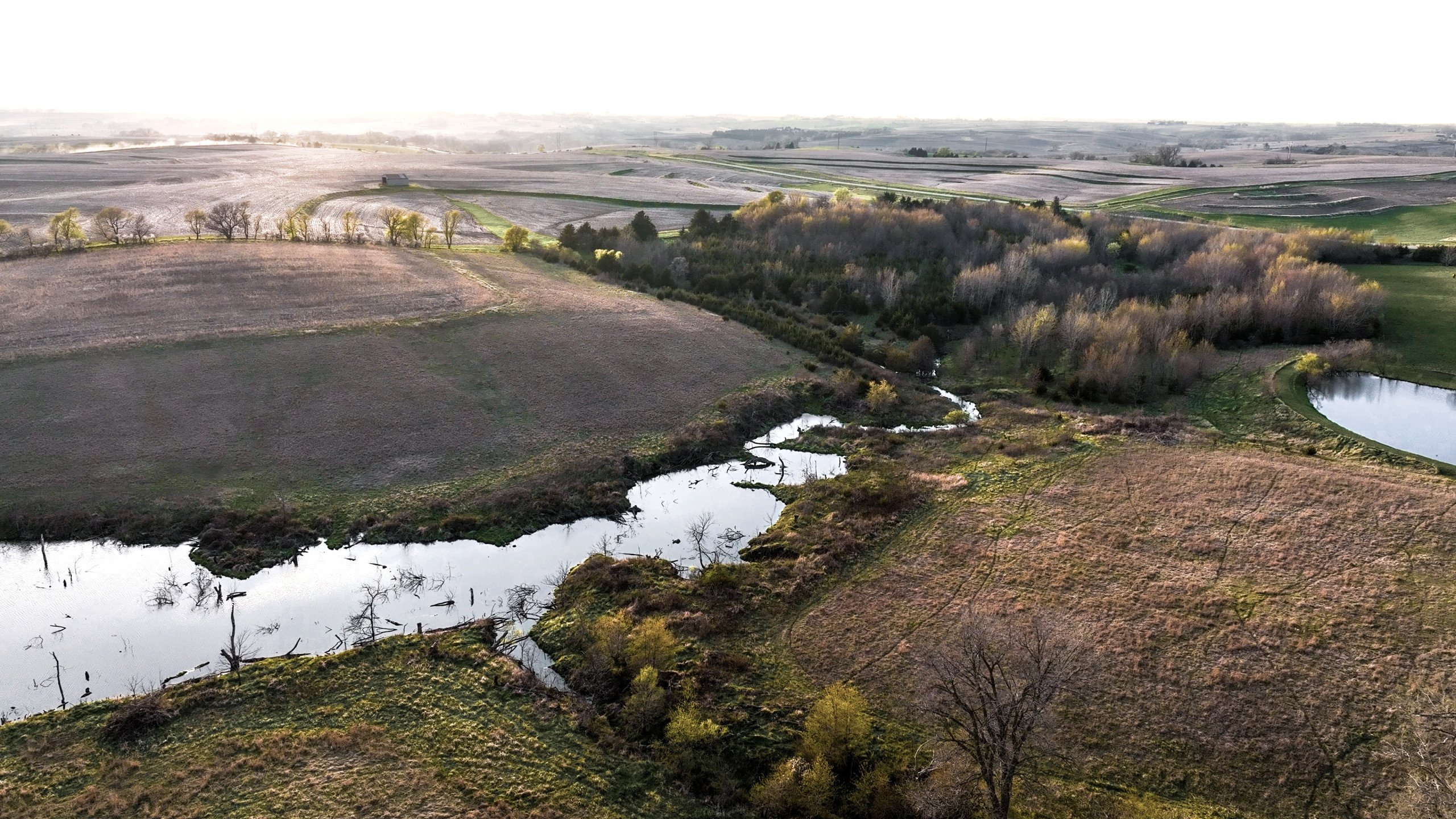 Adams County, Iowa Farmland For Sale