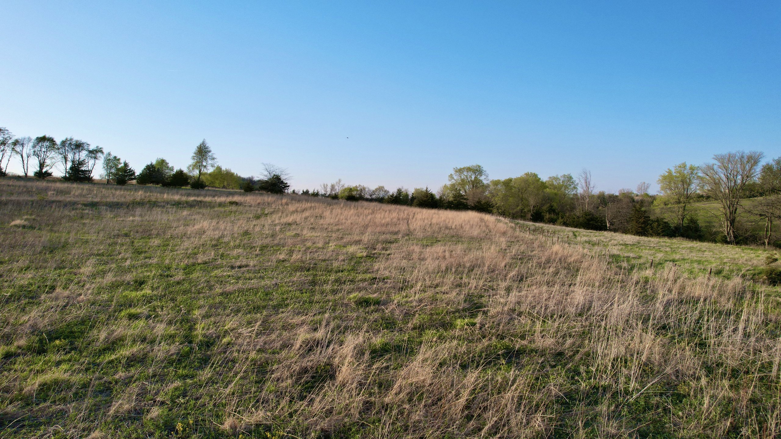 Adams County, Iowa Farmland For Sale