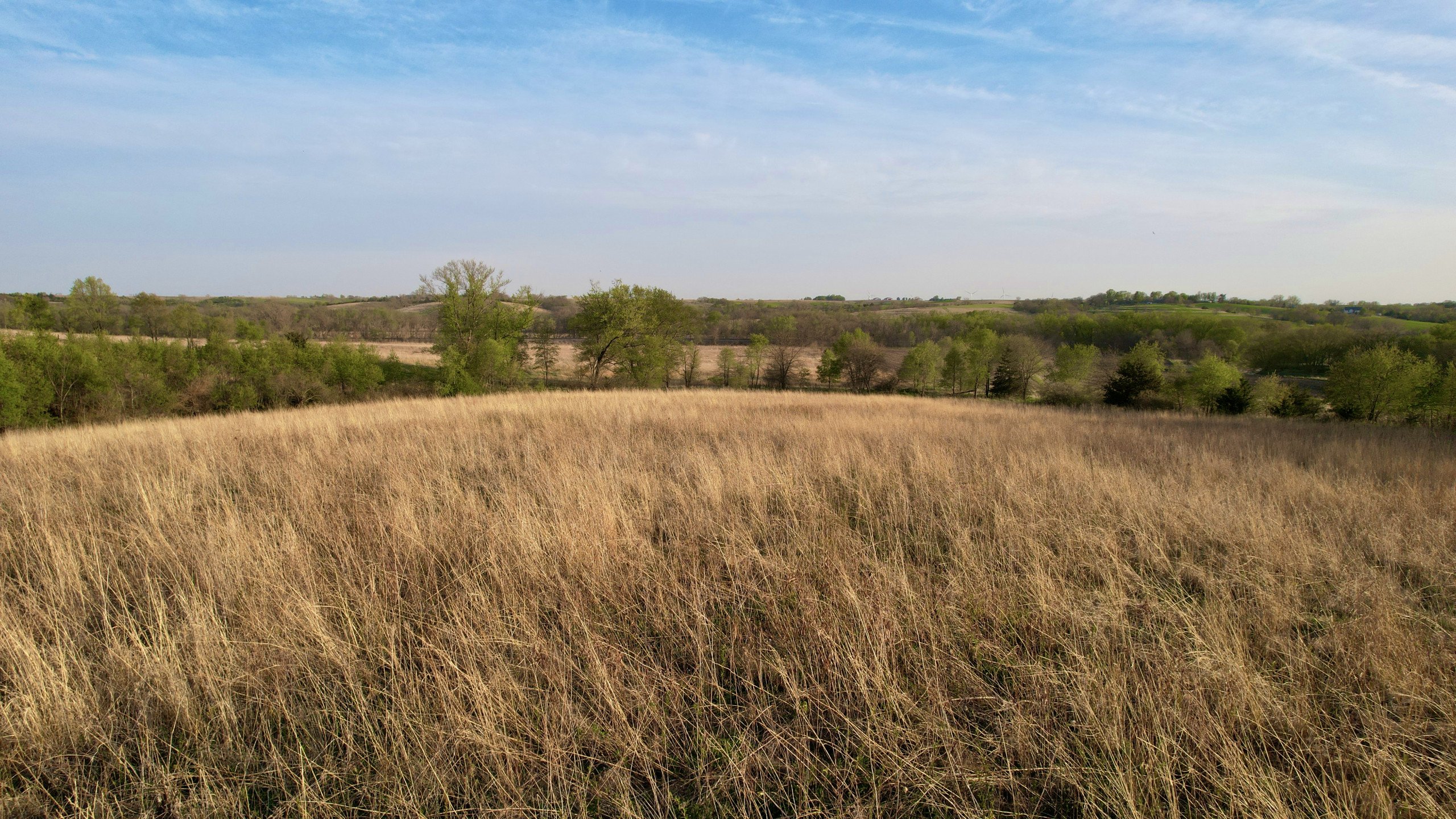 Adams County, Iowa Farmland For Sale