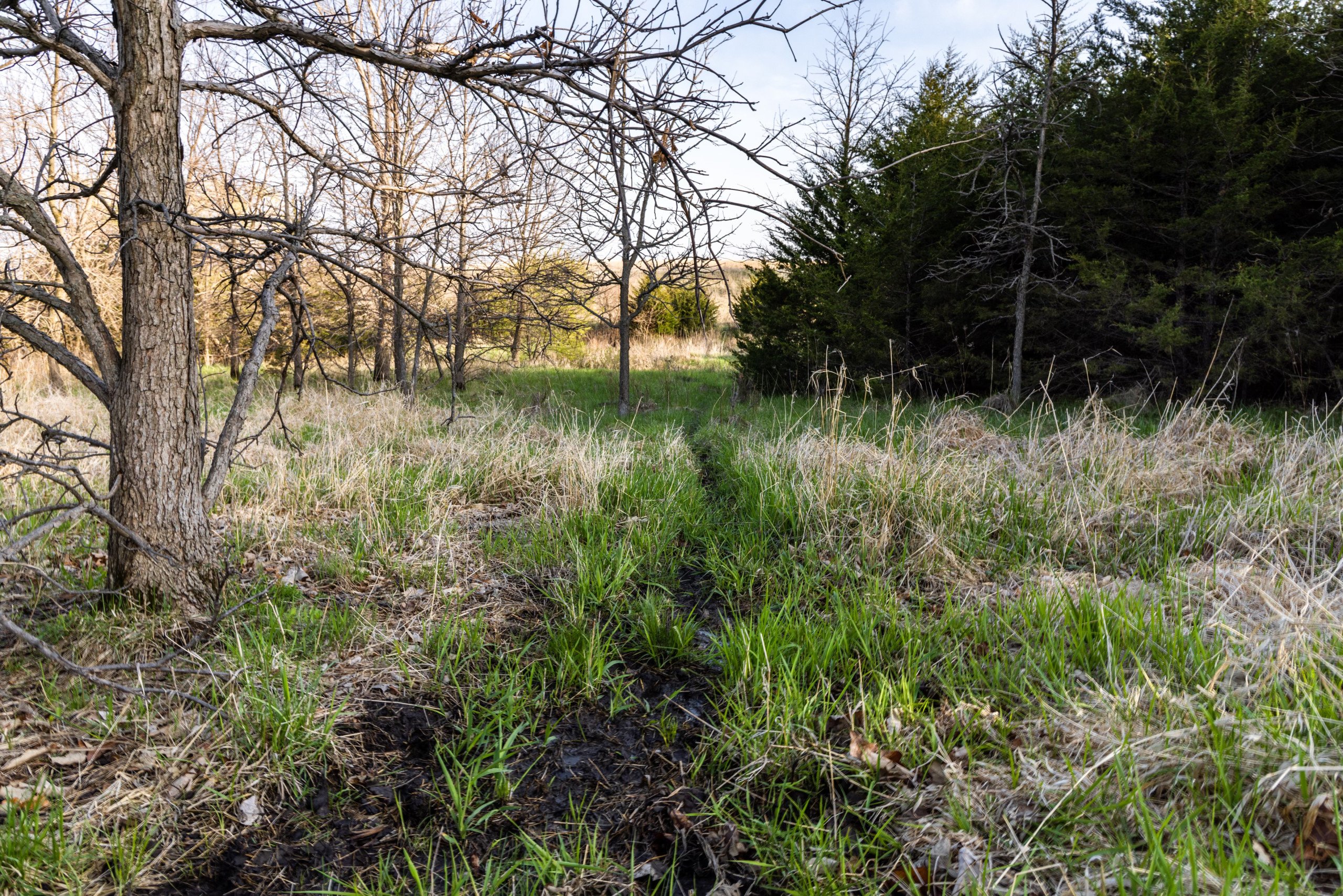 Adams County, Iowa Farmland For Sale