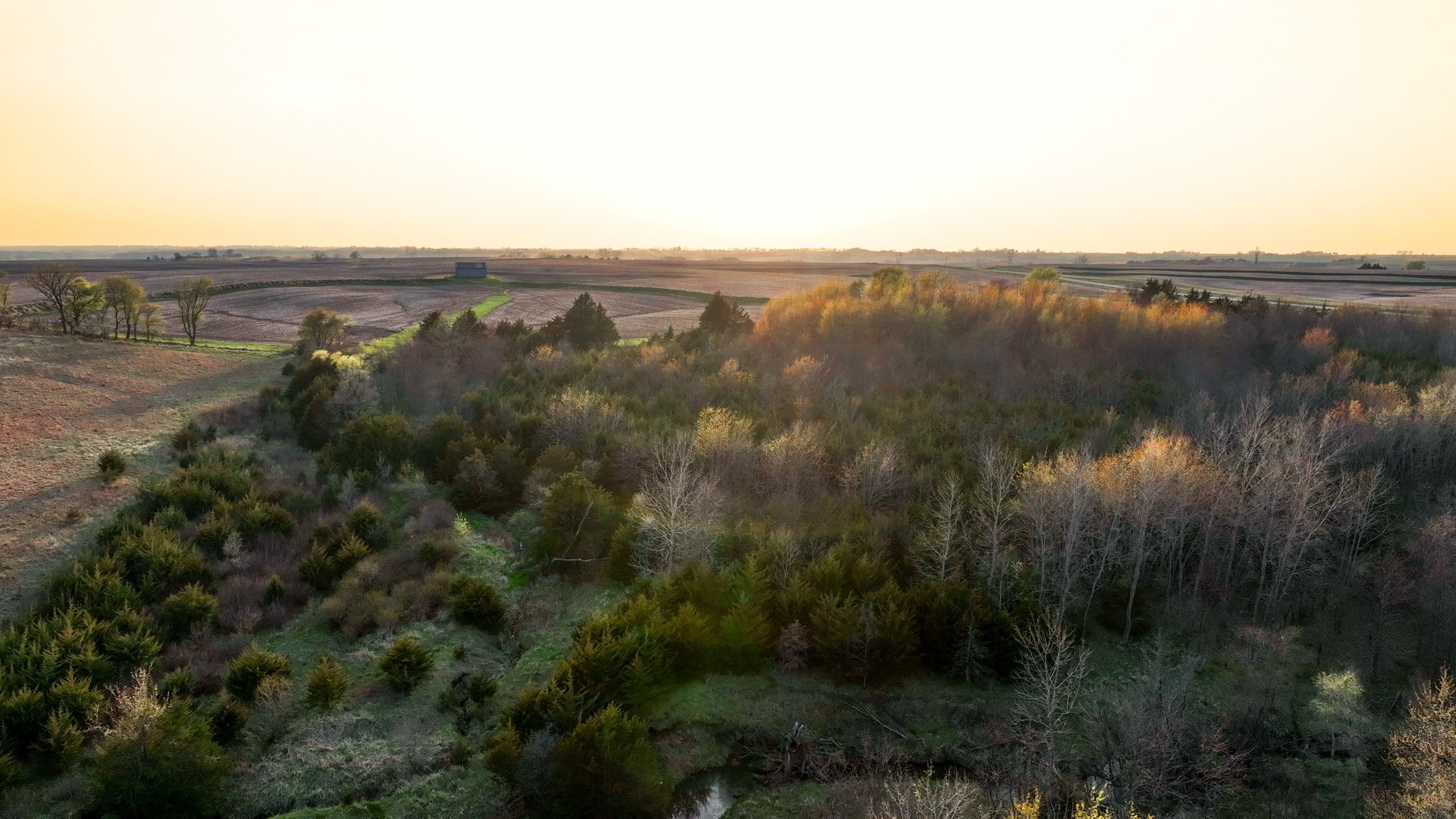 Adams County, Iowa Farmland For Sale