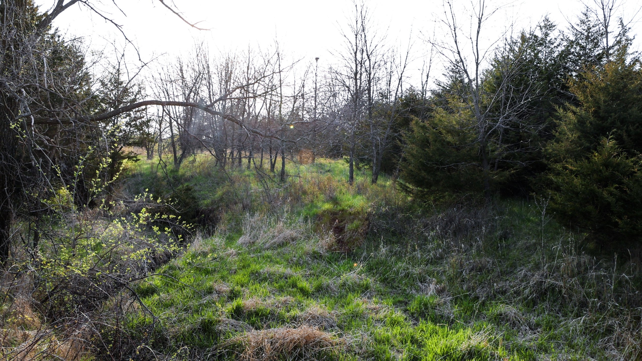 Adams County, Iowa Farmland For Sale