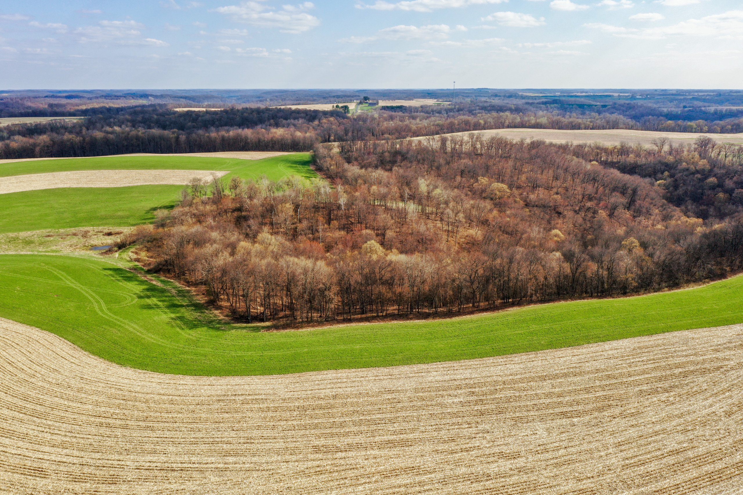 land-richland-county-wisconsin-239-acres-listing-number-16804-DJI_0418-0.jpg