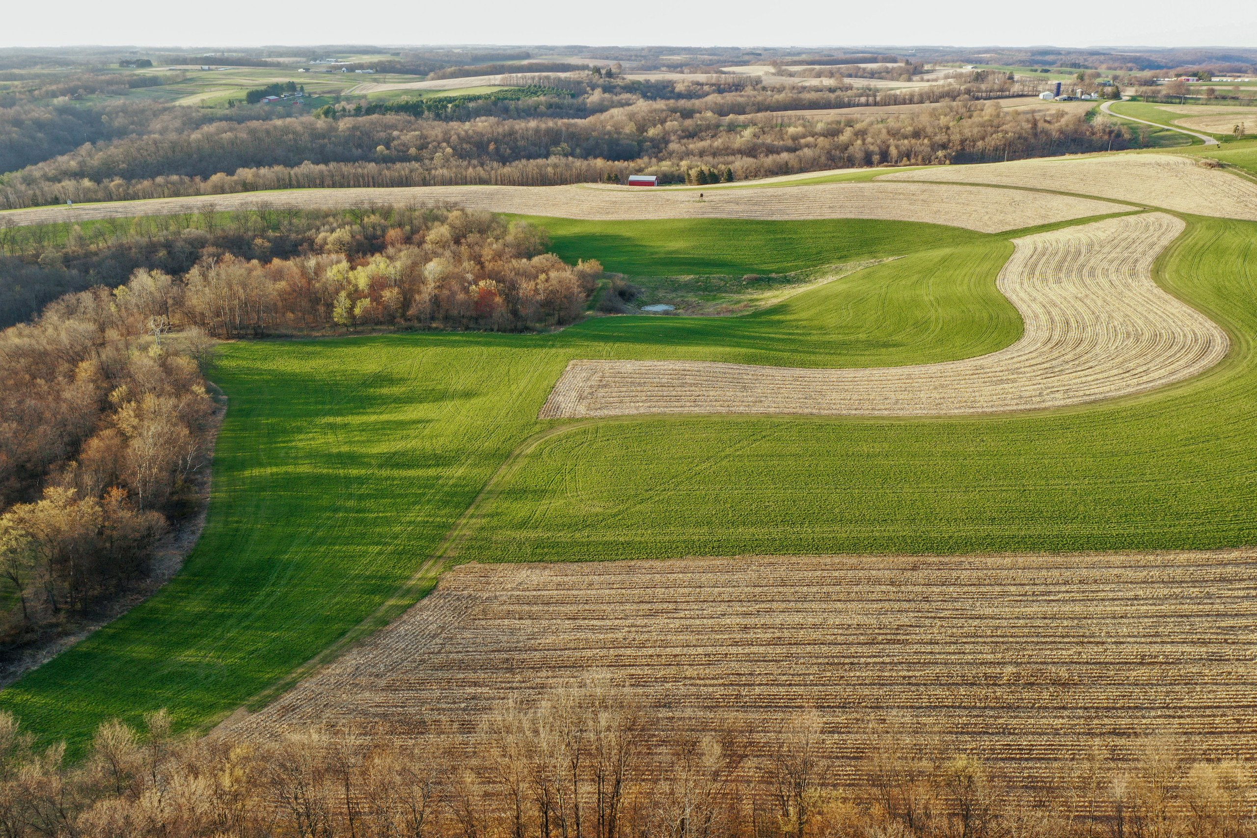 land-richland-county-wisconsin-239-acres-listing-number-16804-DJI_0445-0.jpg