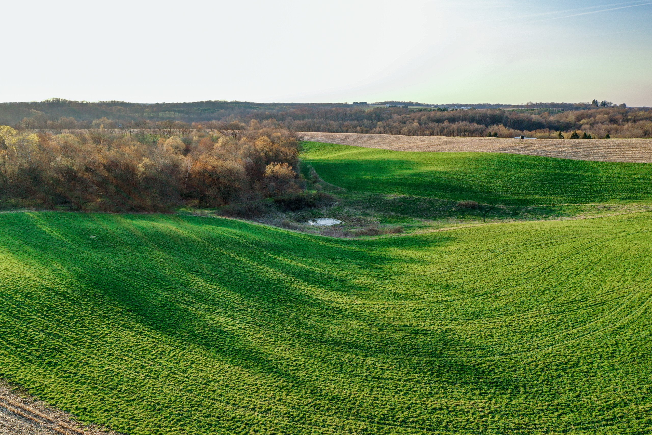 land-richland-county-wisconsin-239-acres-listing-number-16804-DJI_0455-0.jpg