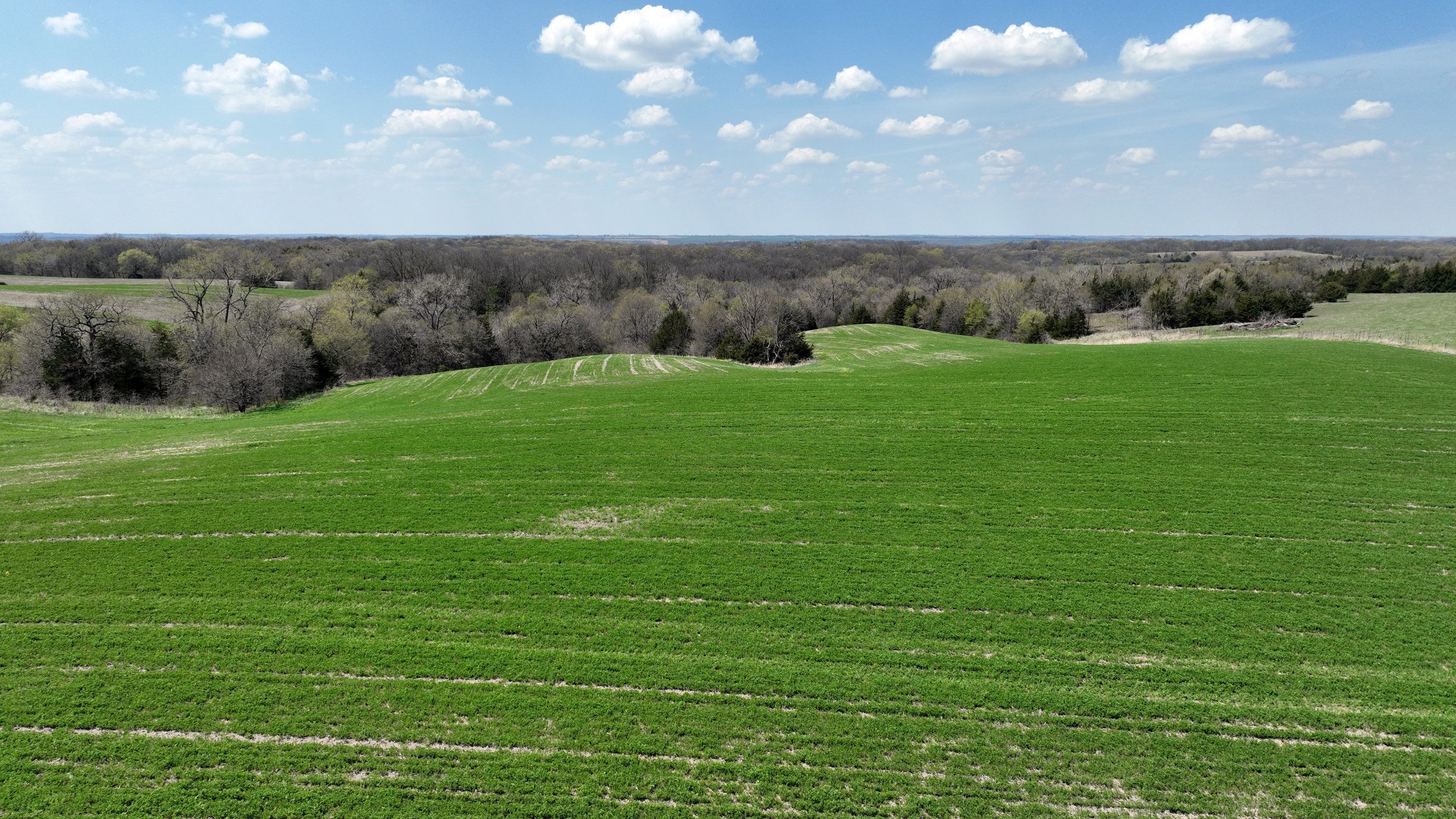 land-decatur-county-iowa-55-acres-listing-number-16808-DJI_0573-0.jpg