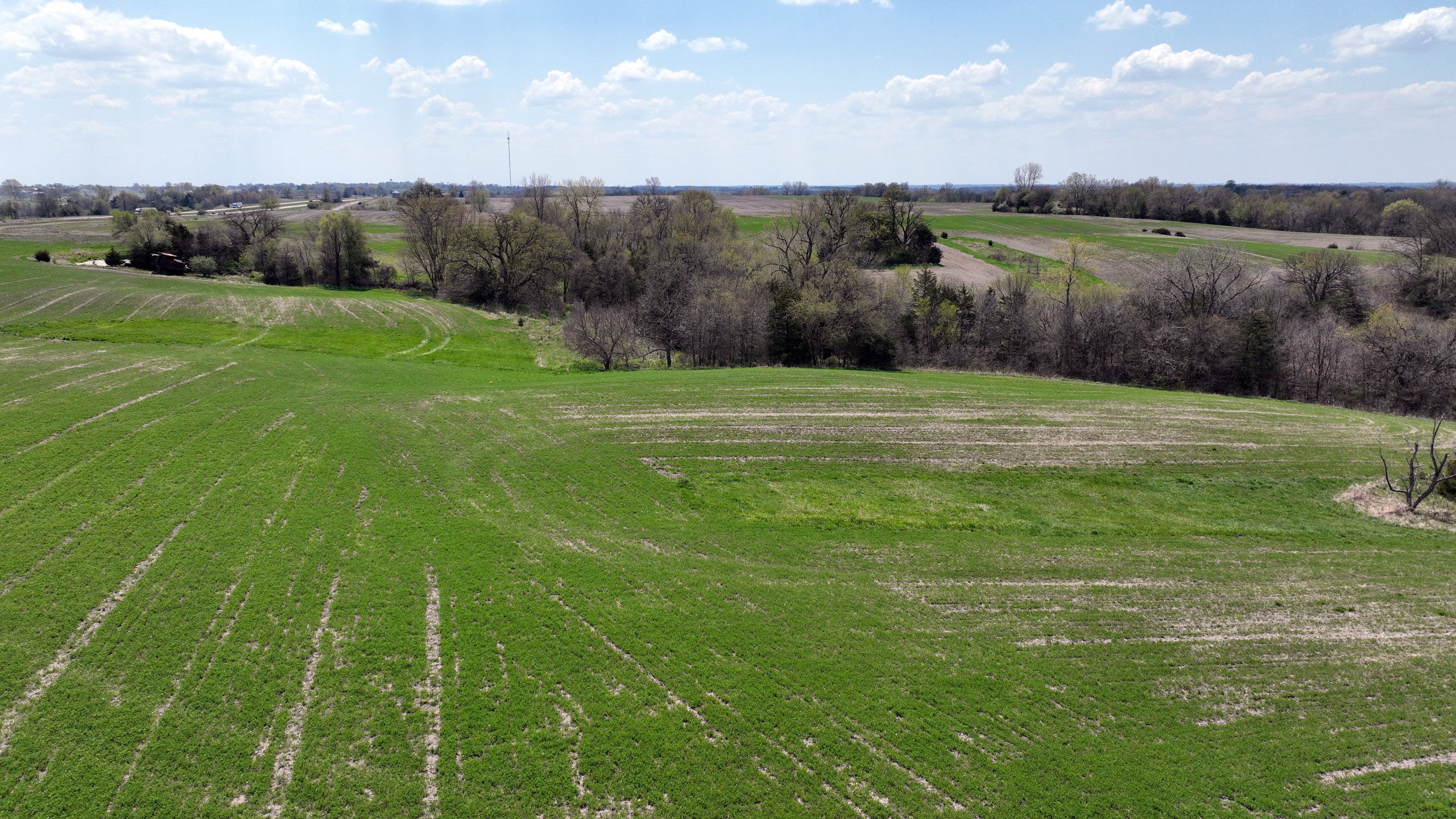 land-decatur-county-iowa-55-acres-listing-number-16808-DJI_0574-1.jpg