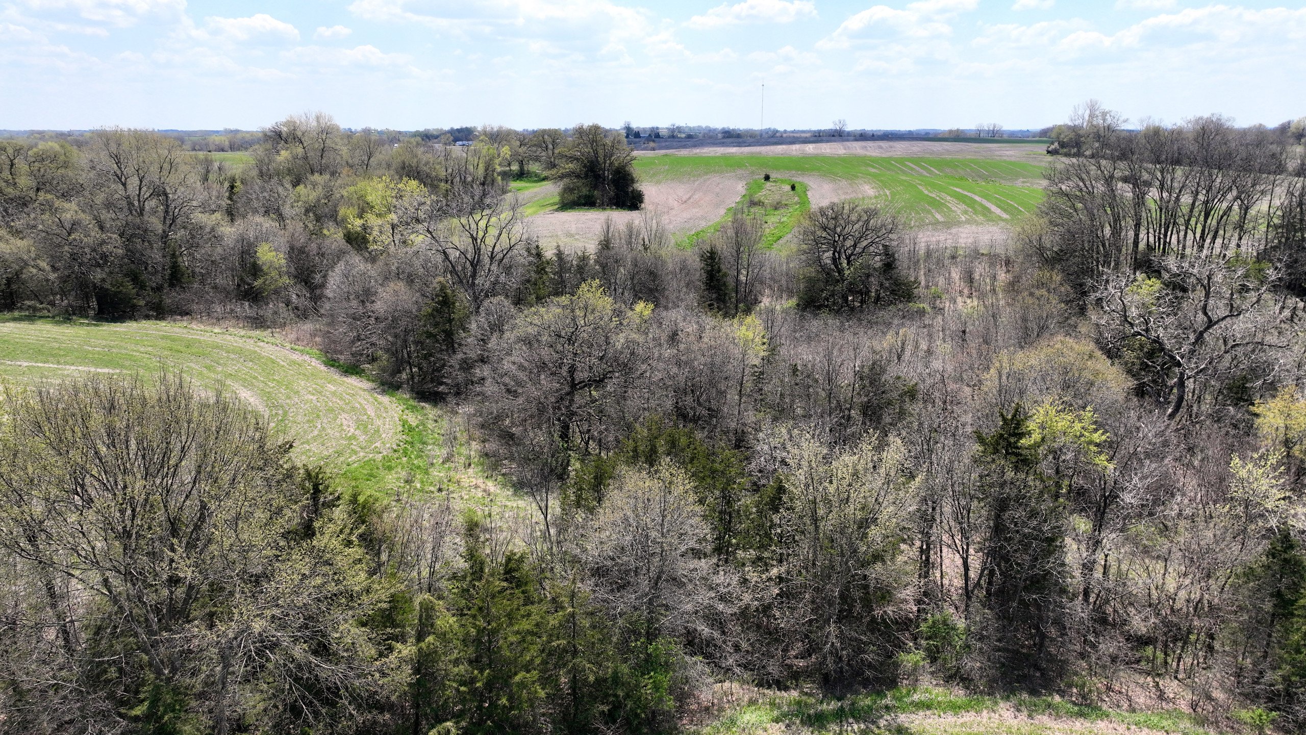land-decatur-county-iowa-55-acres-listing-number-16808-DJI_0588-2.jpg