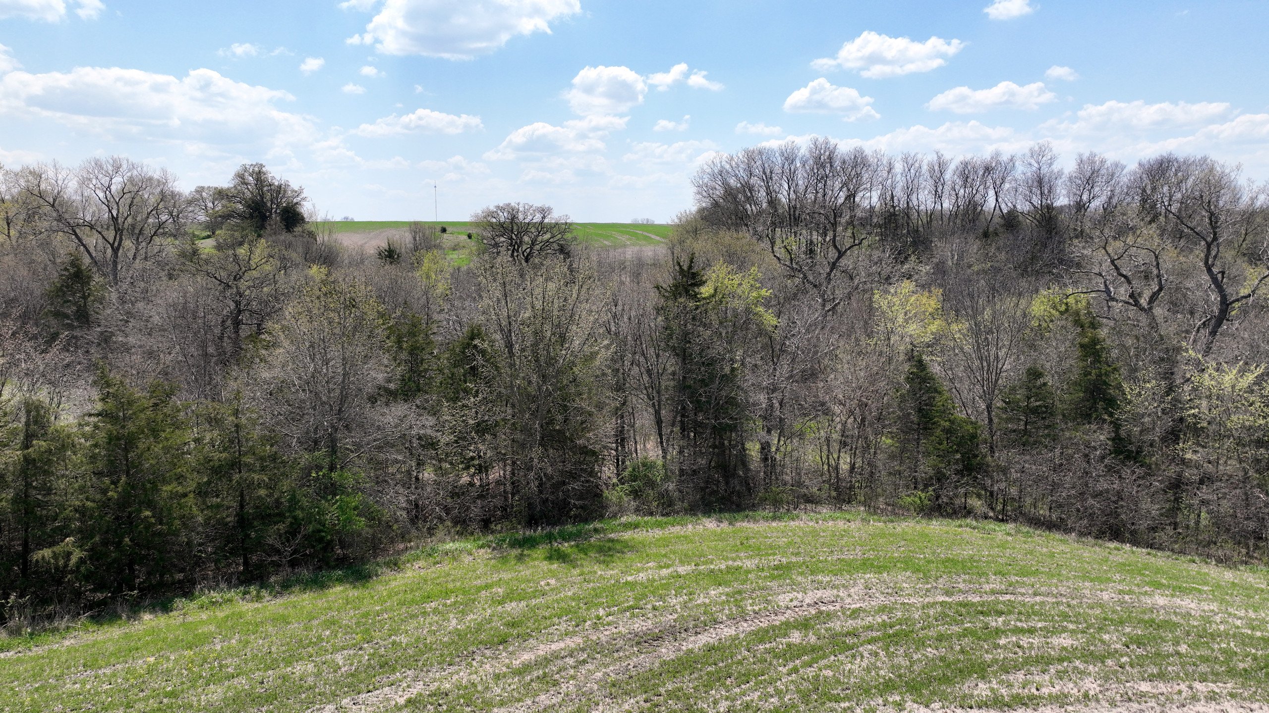 land-decatur-county-iowa-55-acres-listing-number-16808-DJI_0589-3.jpg