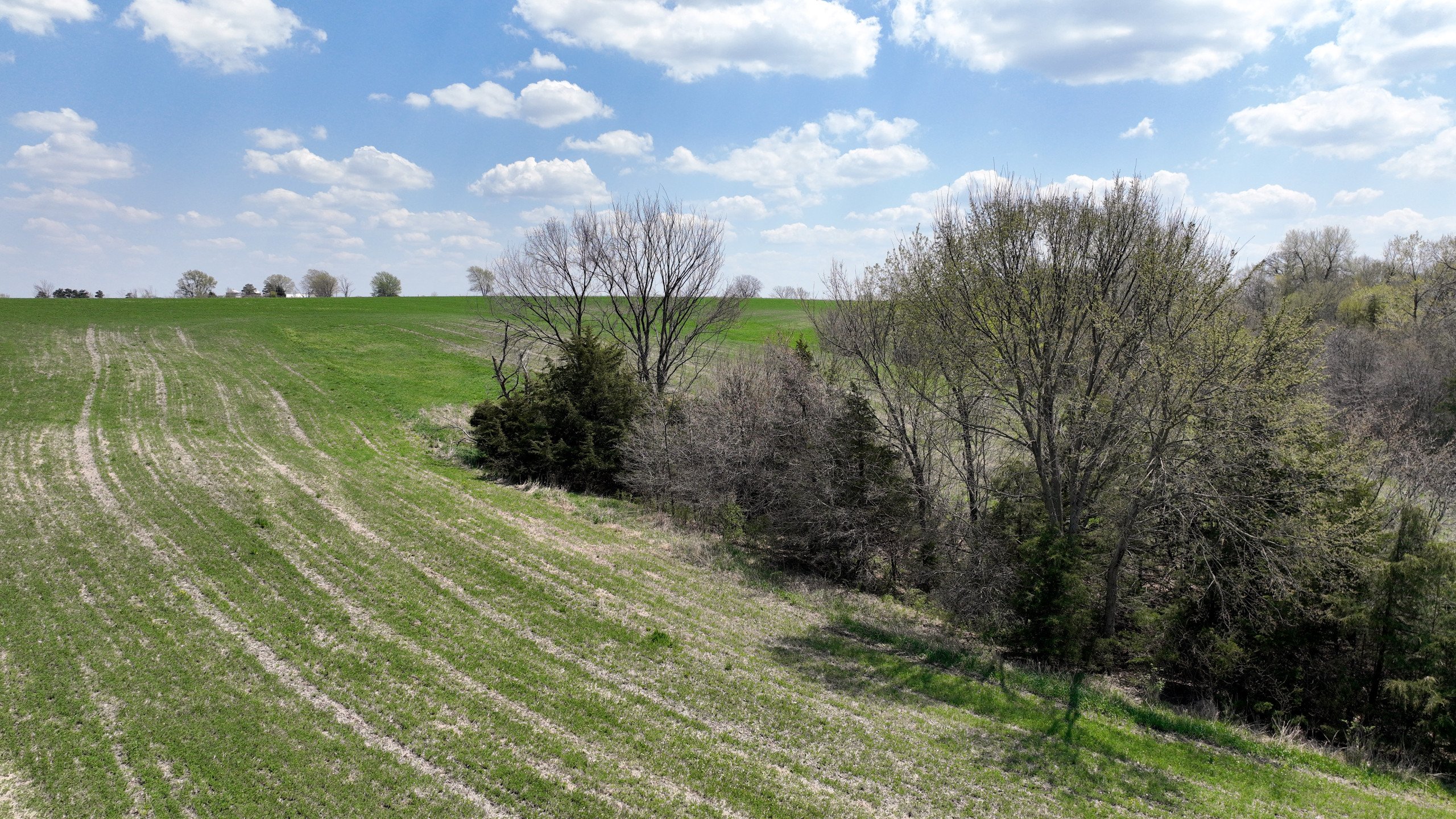 land-decatur-county-iowa-55-acres-listing-number-16808-DJI_0590-4.jpg