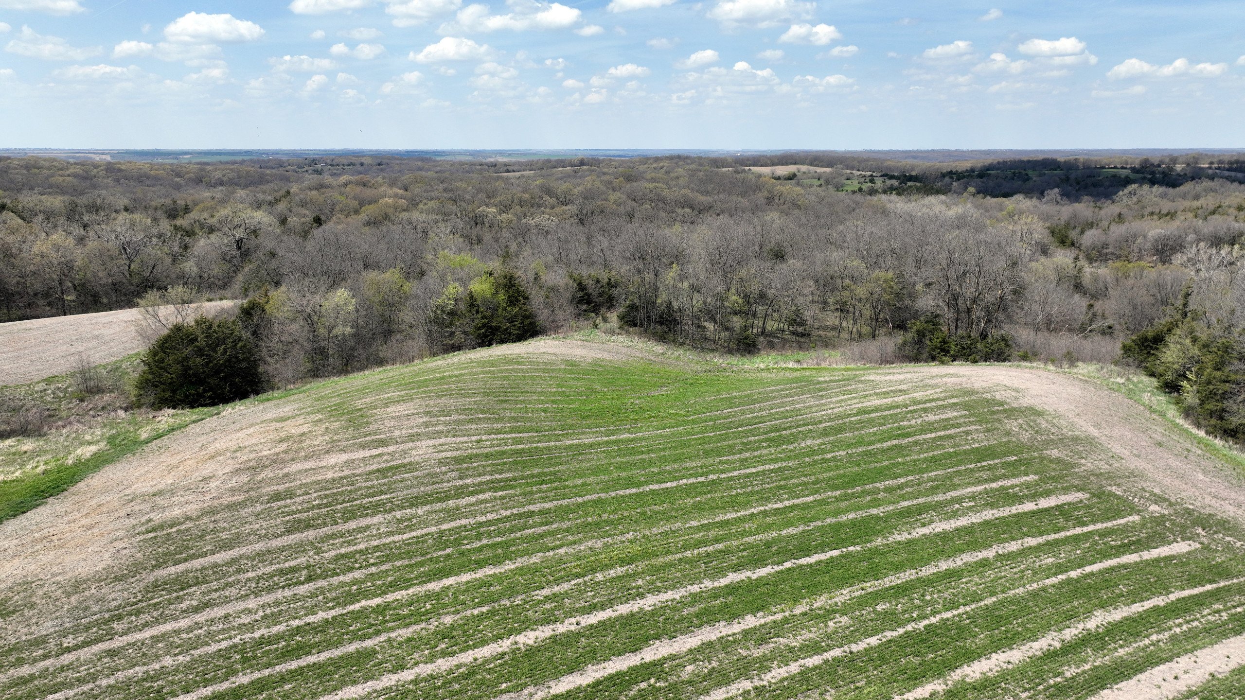 land-decatur-county-iowa-55-acres-listing-number-16808-DJI_0592-1.jpg