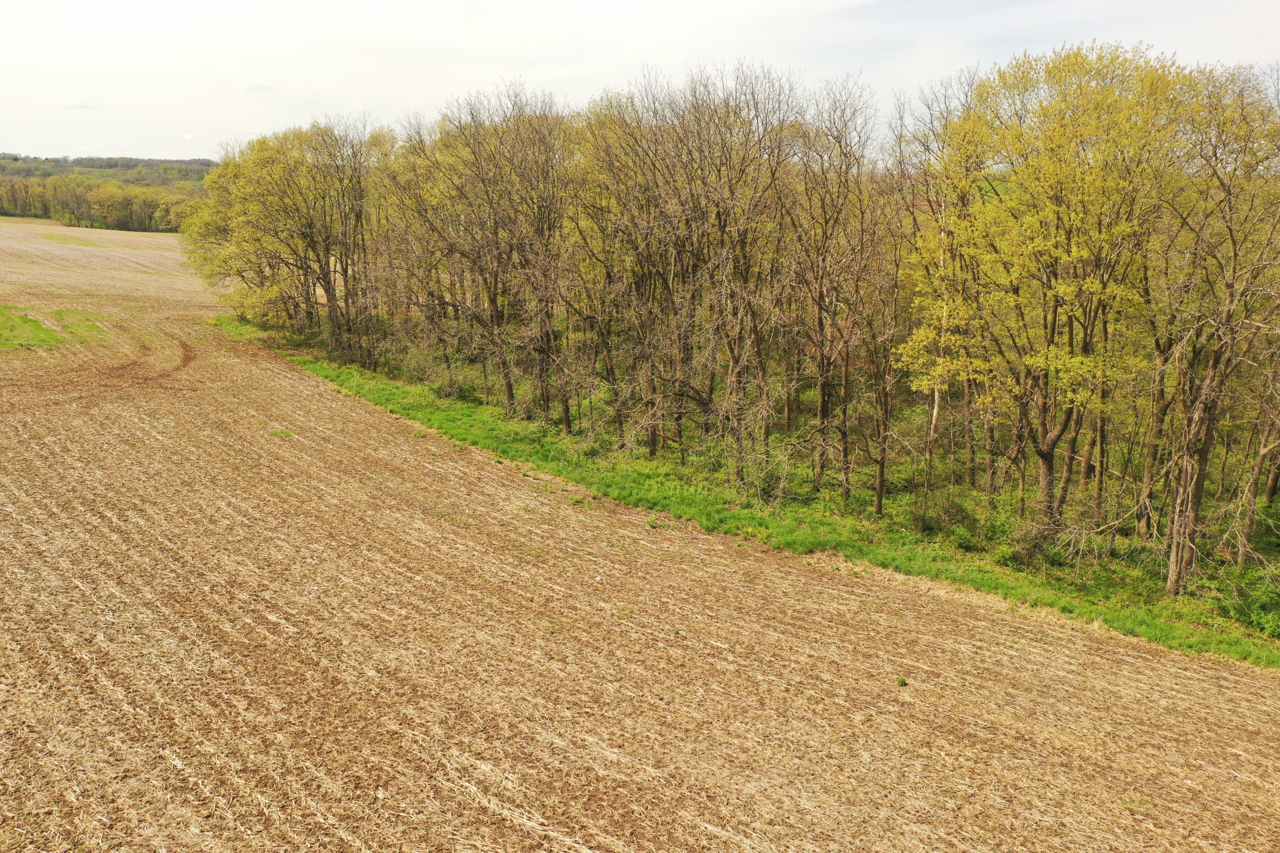 land-green-county-wisconsin-45-acres-listing-number-16821-DJI_0610-0.jpg