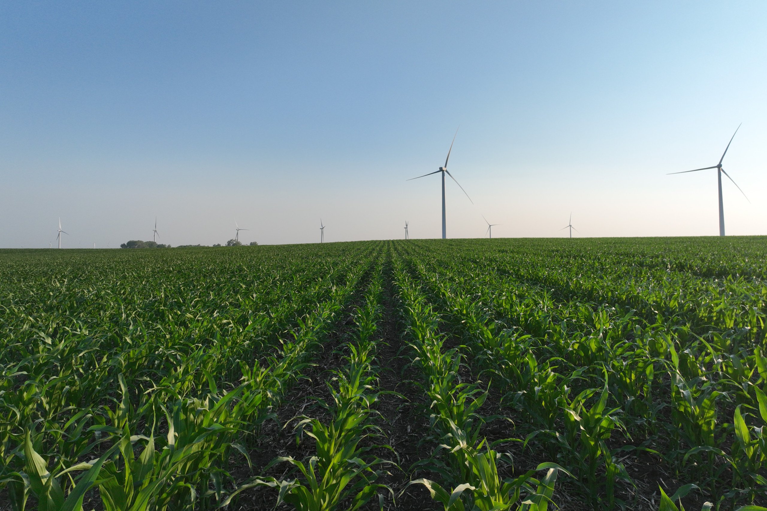 Story County, Iowa Farmland Available