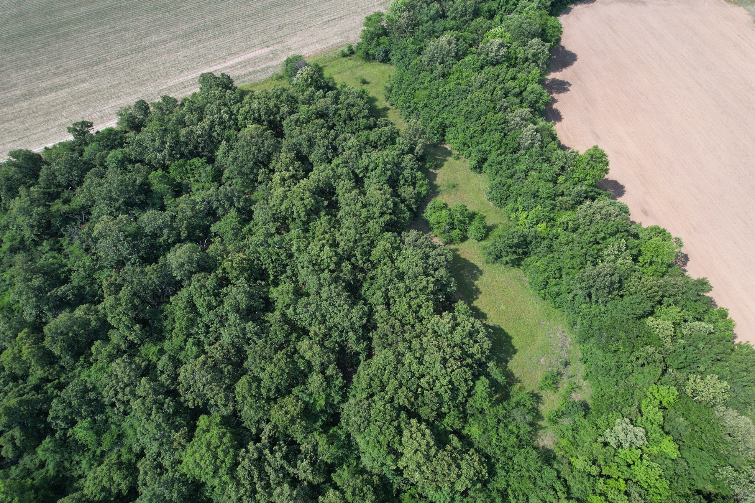 land-greene-county-arkansas-22-acres-listing-number-16835-22 Drone Pic (5) (1)-2.jpg
