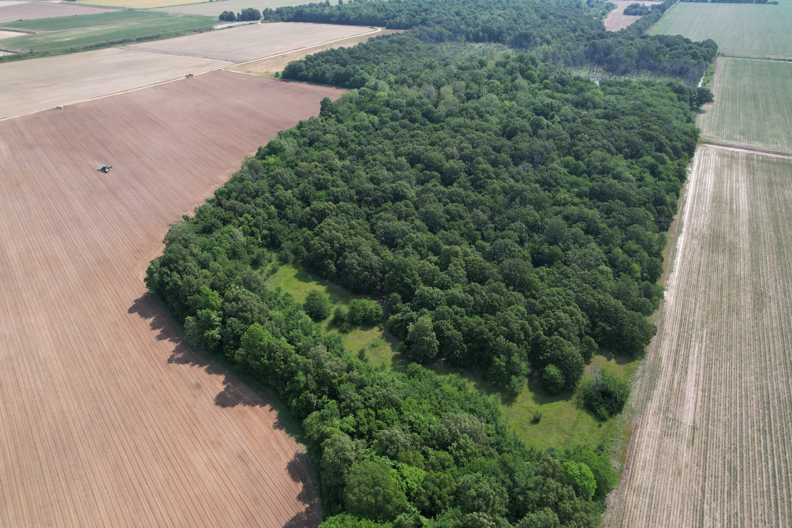 land-greene-county-arkansas-22-acres-listing-number-16835-22 Drone Pic (6) (1)-3.jpg