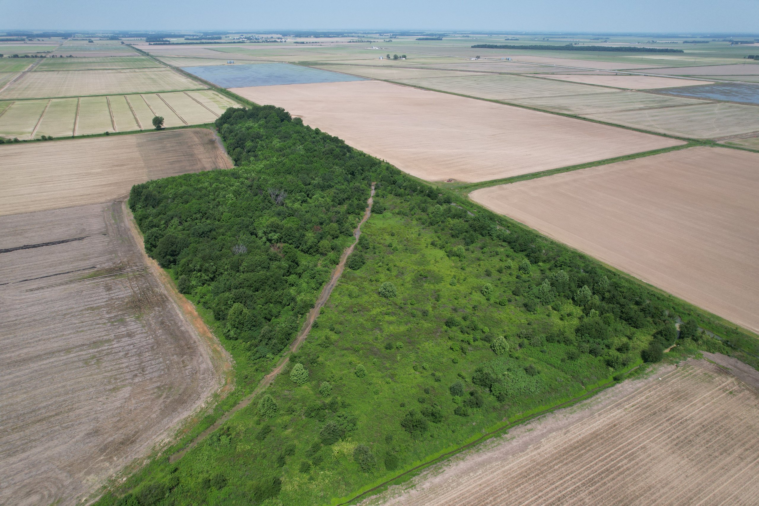 land-greene-county-arkansas-24-acres-listing-number-16846-24 Drone Pic (5)-0.jpg