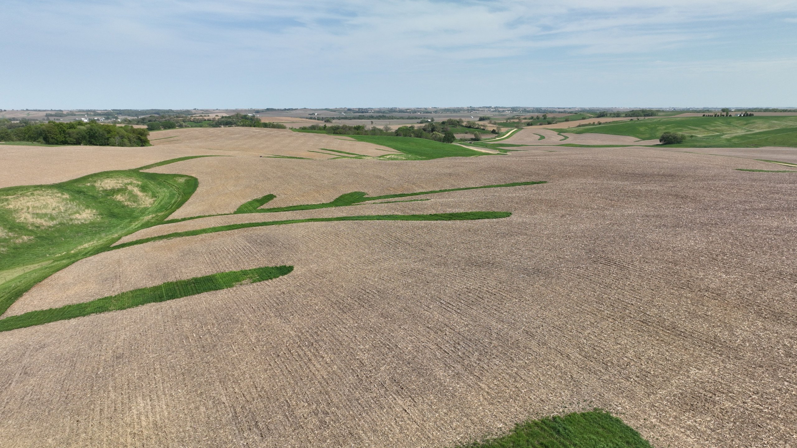 Clinton County, Iowa Farm For Sale